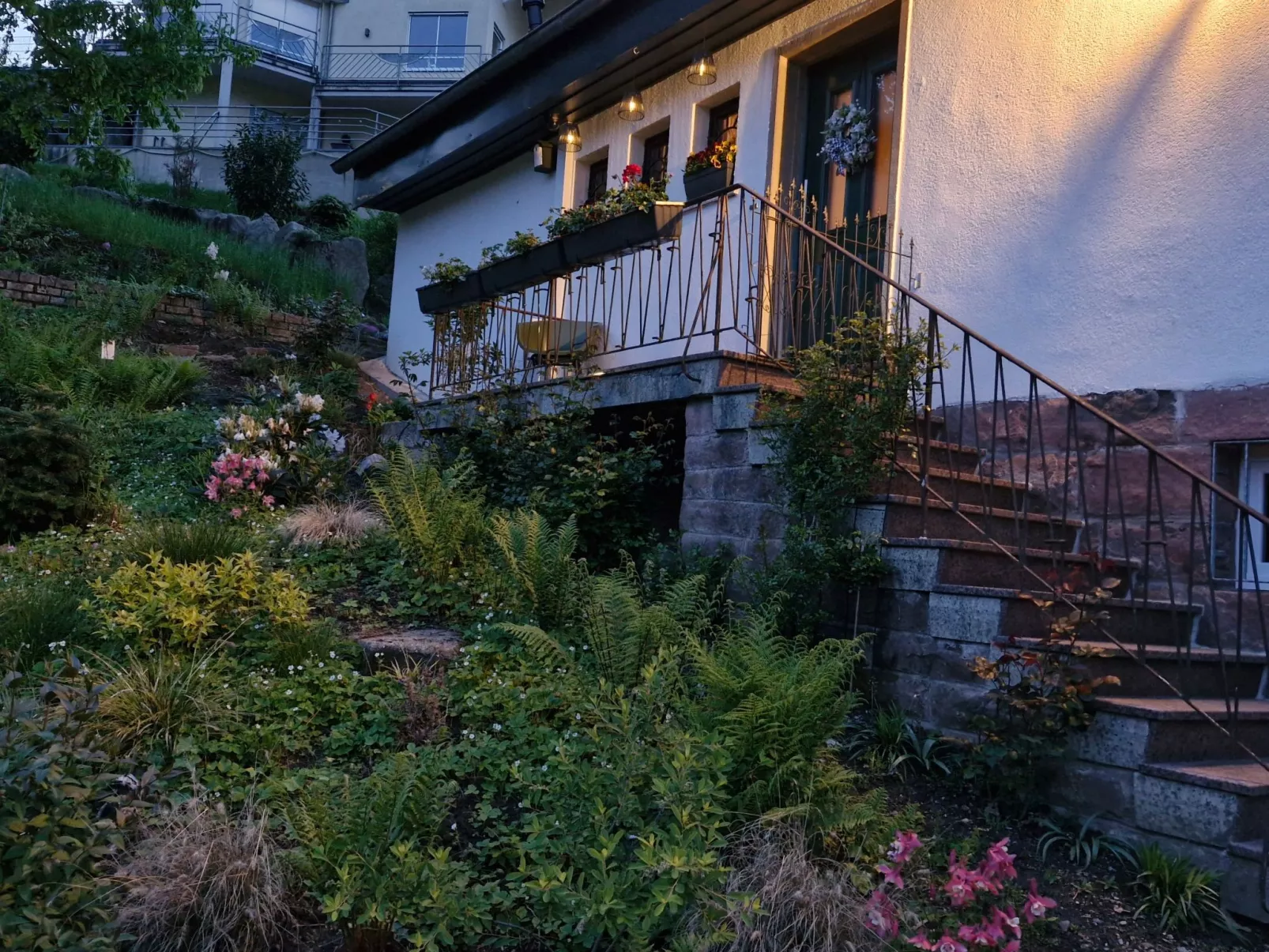 Schwarzwald Königin-Buiten