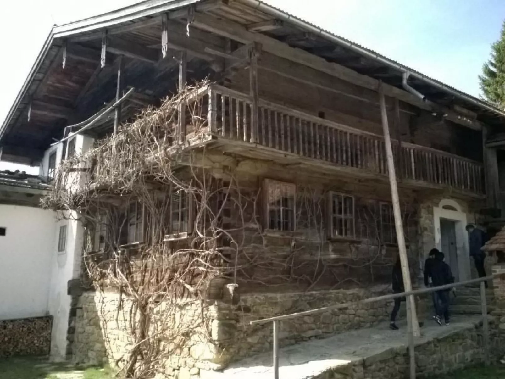 Haus Annemarie-Buiten