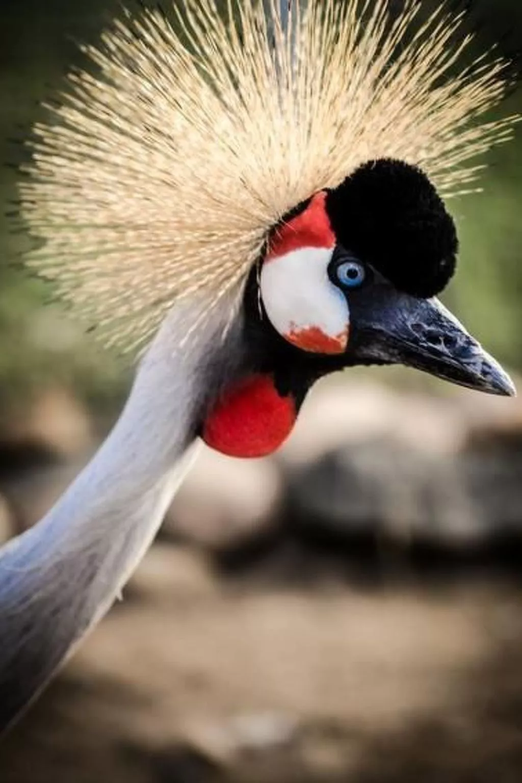 Turmwohnung-Image-tags.info