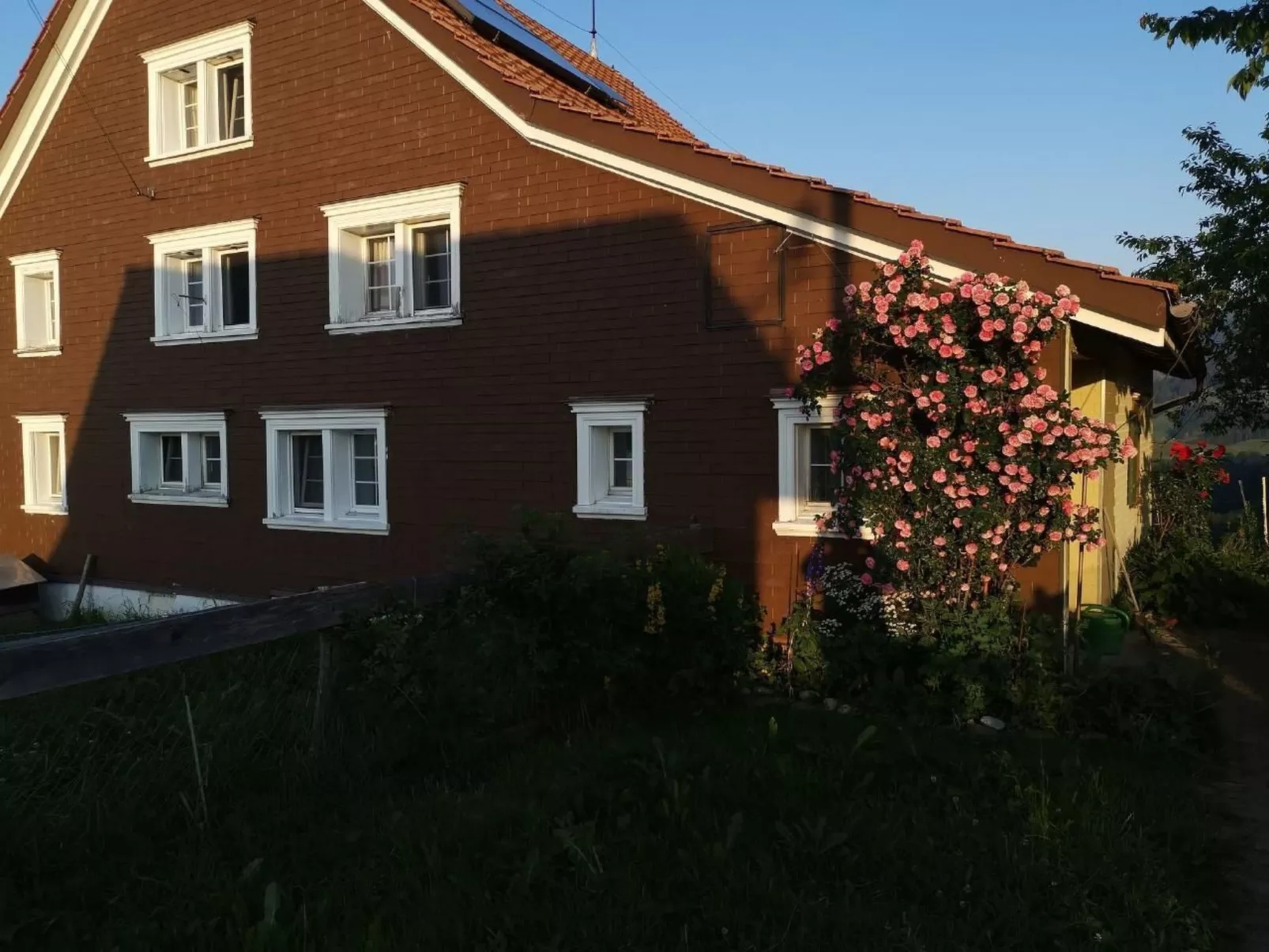 Tiererlebnishof Windegg-Image-tags.info