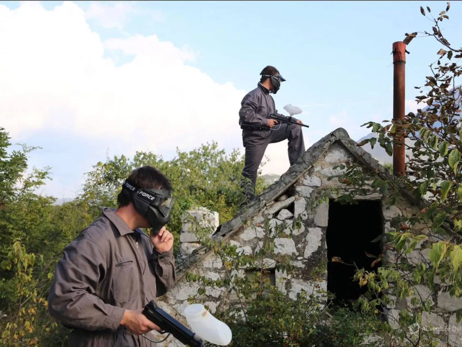 La Finca OliveTree-Buiten