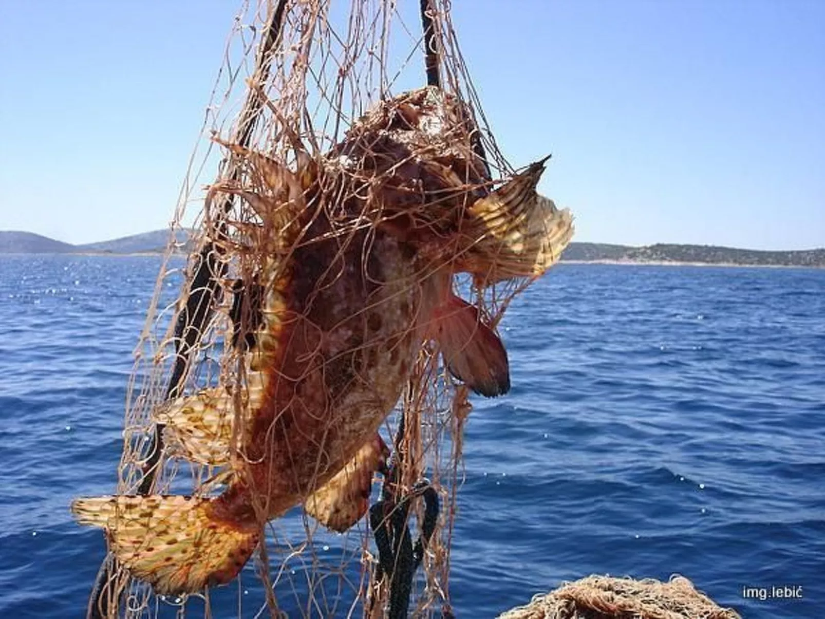 "Ein kleines Paradies"-Image-tags.info