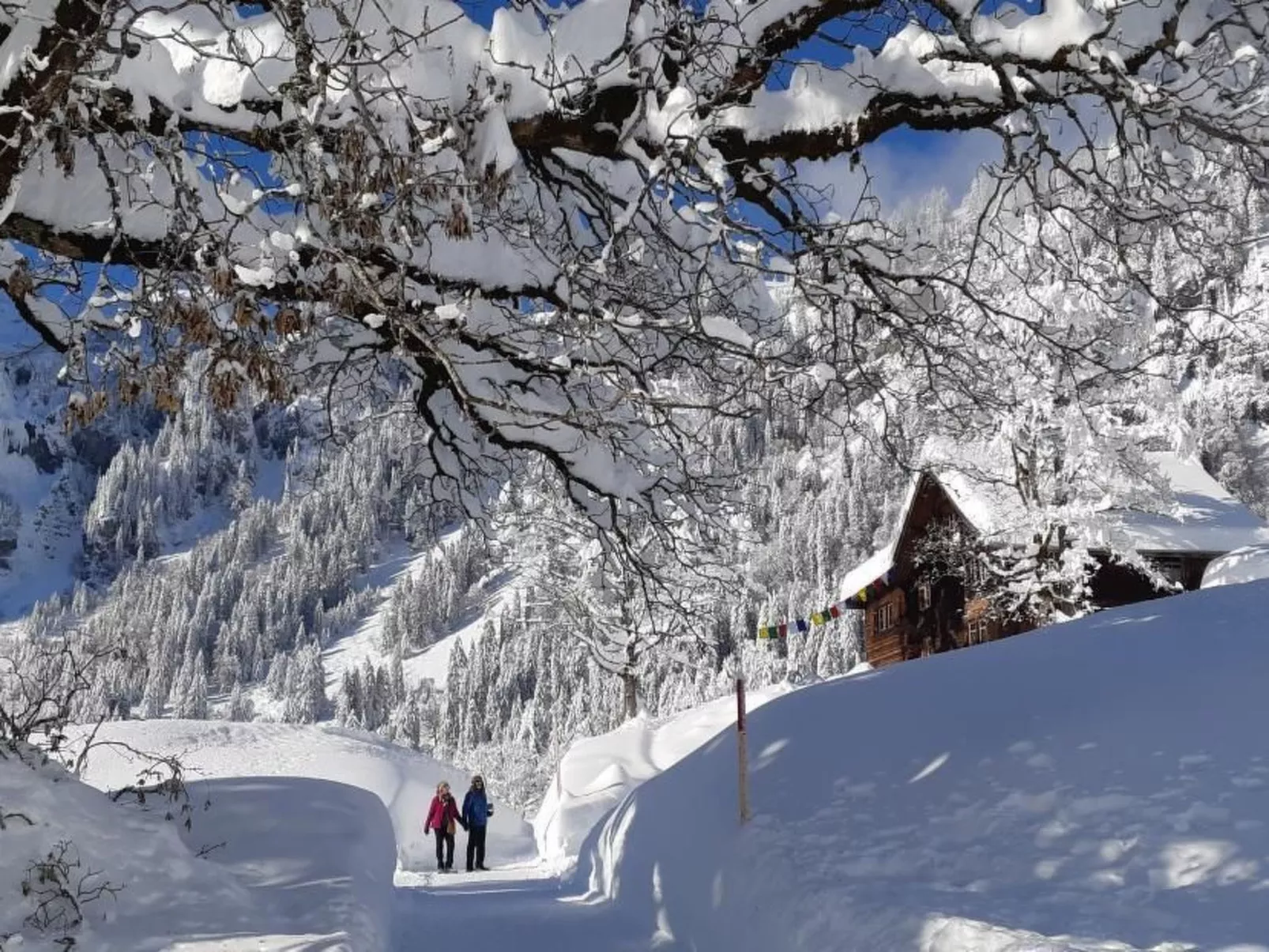 Rietberg 8 Braunwald-Buiten