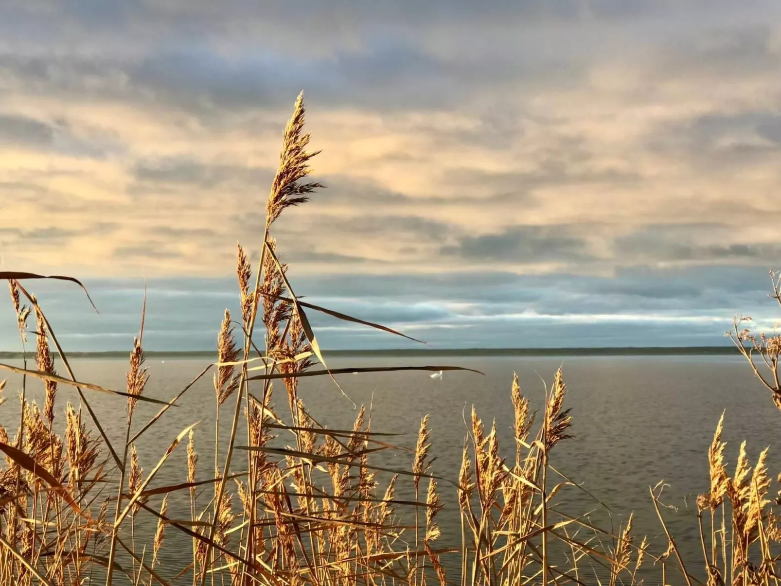 Wiesenblick 5-Image-tags.info