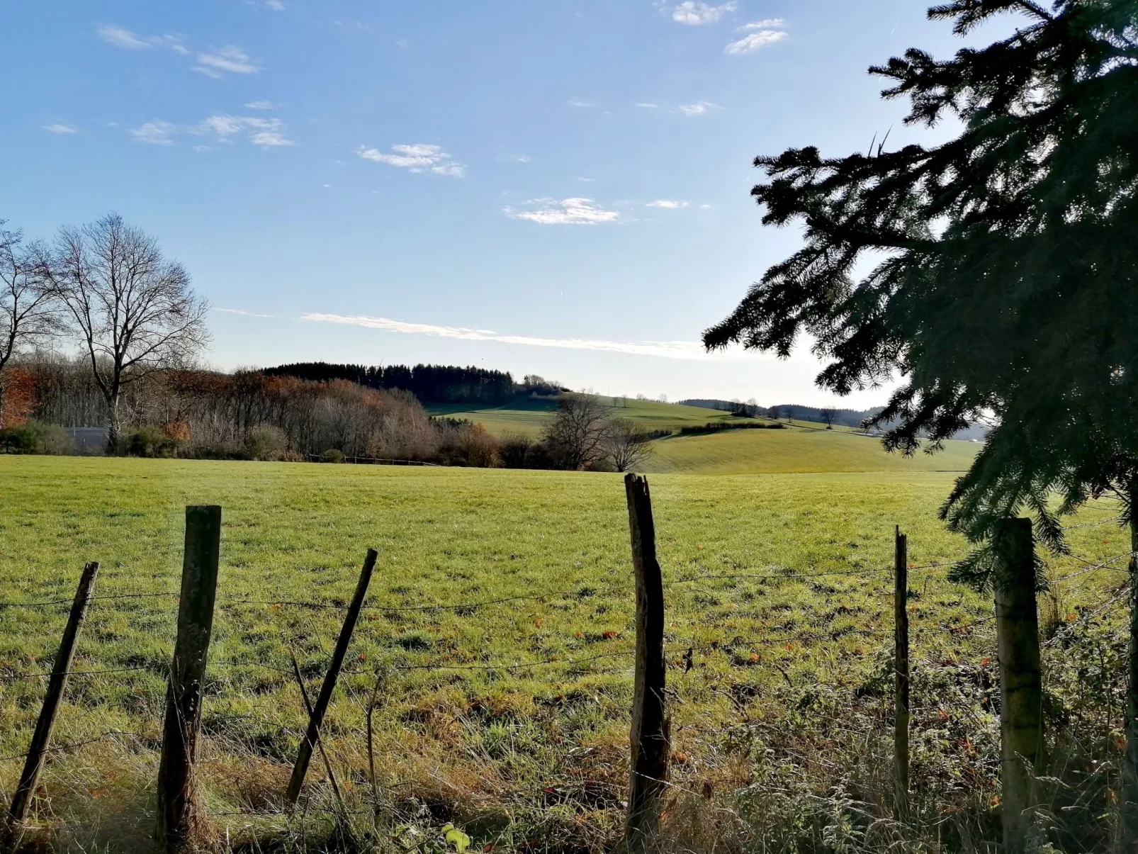 Appartement mit Terrasse-Buiten