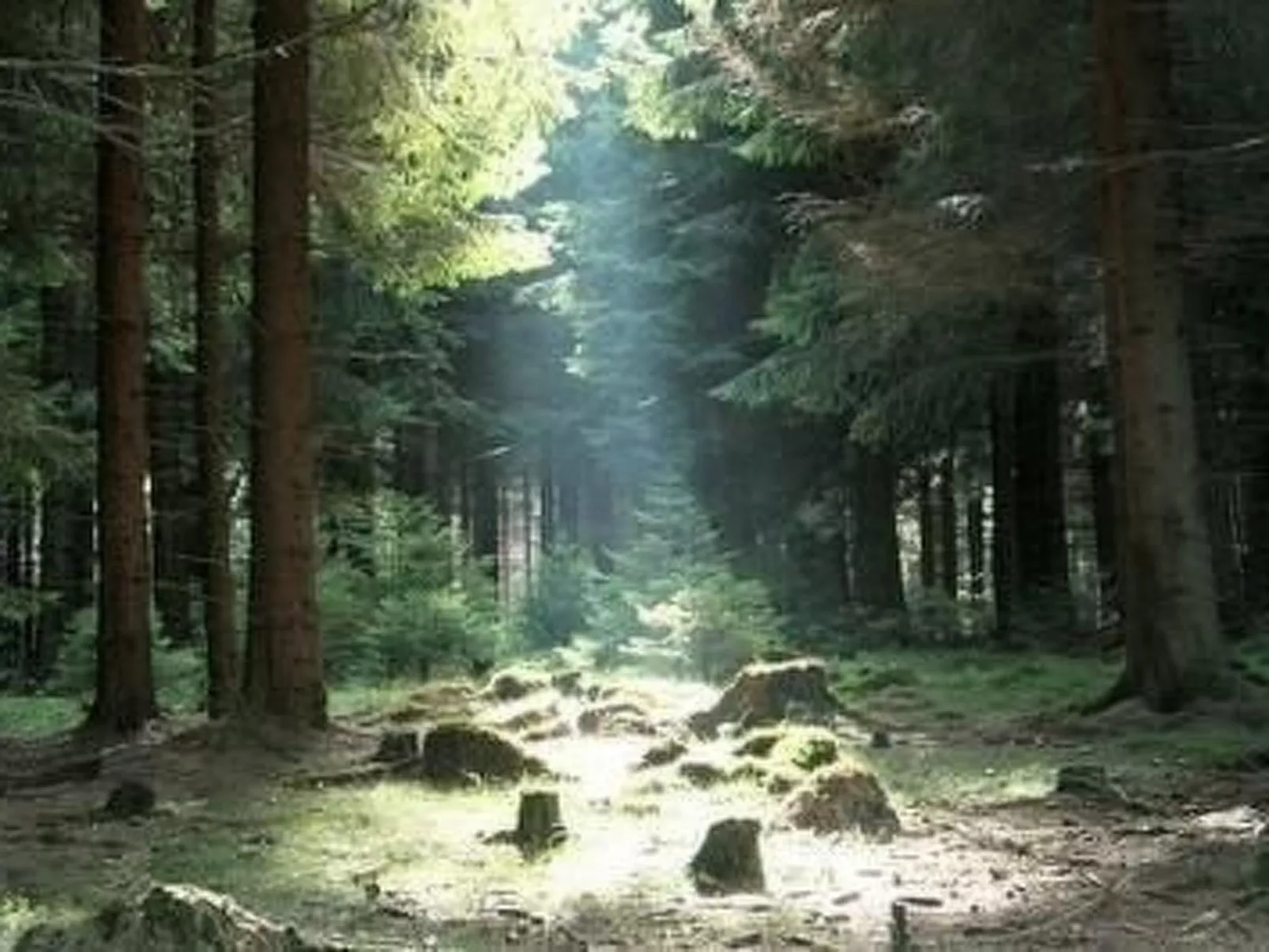 Gemütliche Ferienwohnung im Thüringer Wald-Image-tags.info