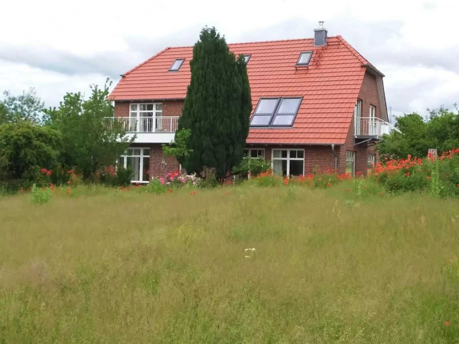 Schwalbennest-Binnen