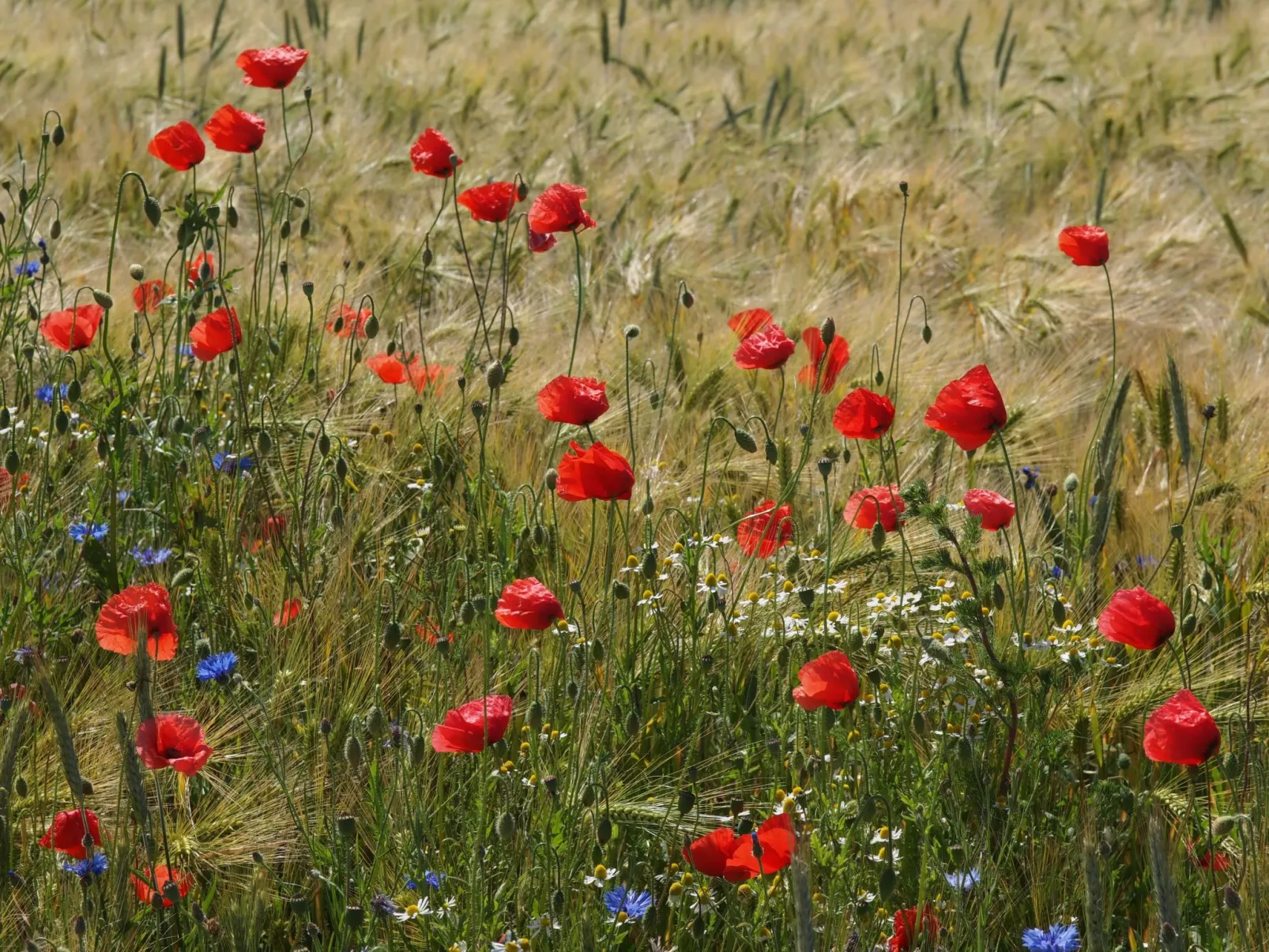 In idylischer Lage-Binnen