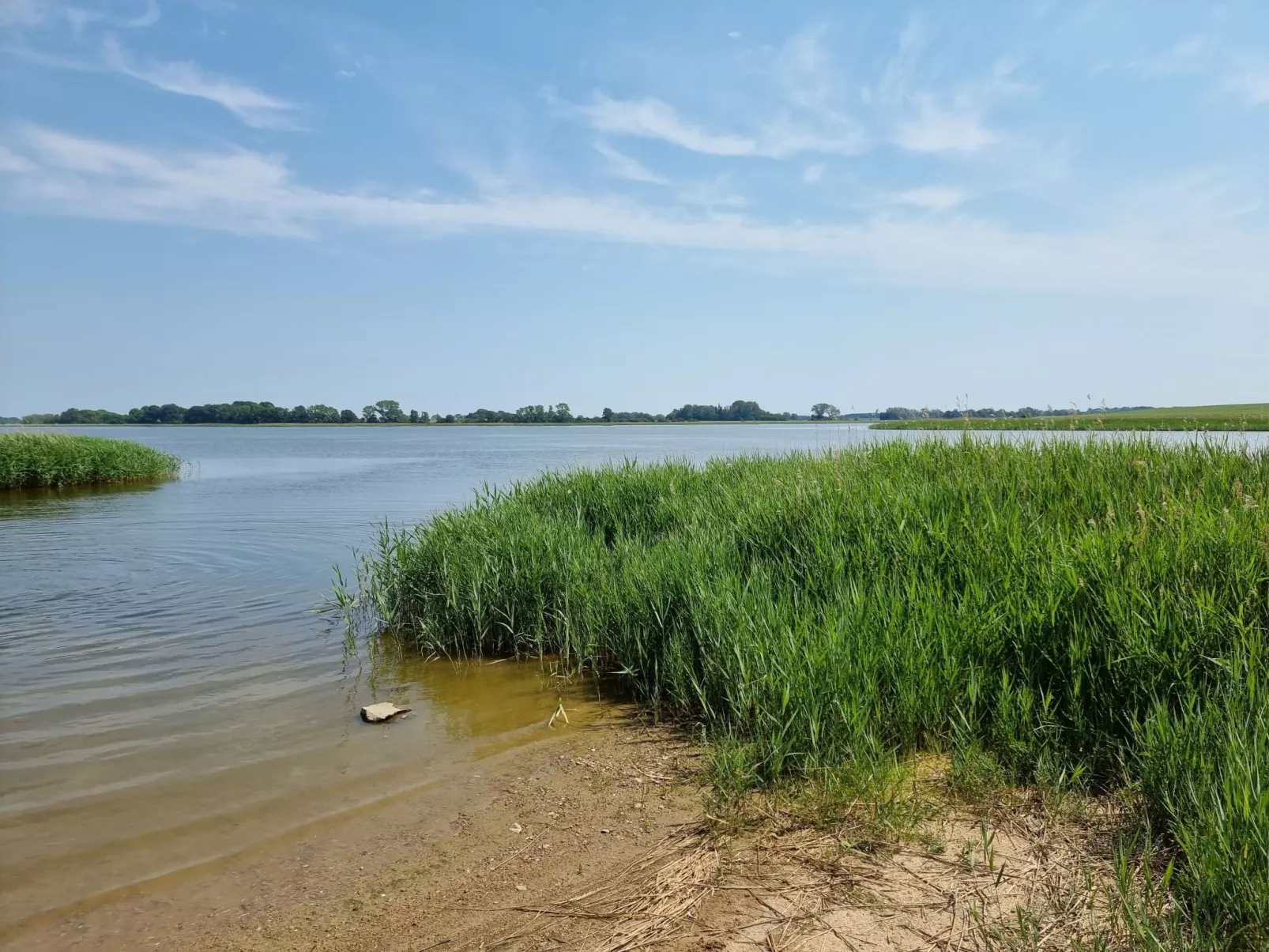 Reethaus Edith-Buiten