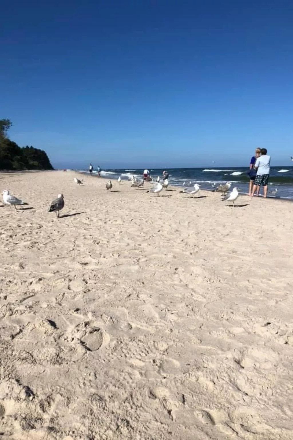 Schönes Ferienhaus für 7 Personen und 1 Kind-Binnen