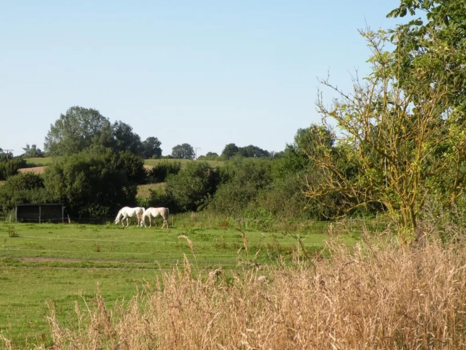 Hof Rodenkrog Fewo 1-Buiten