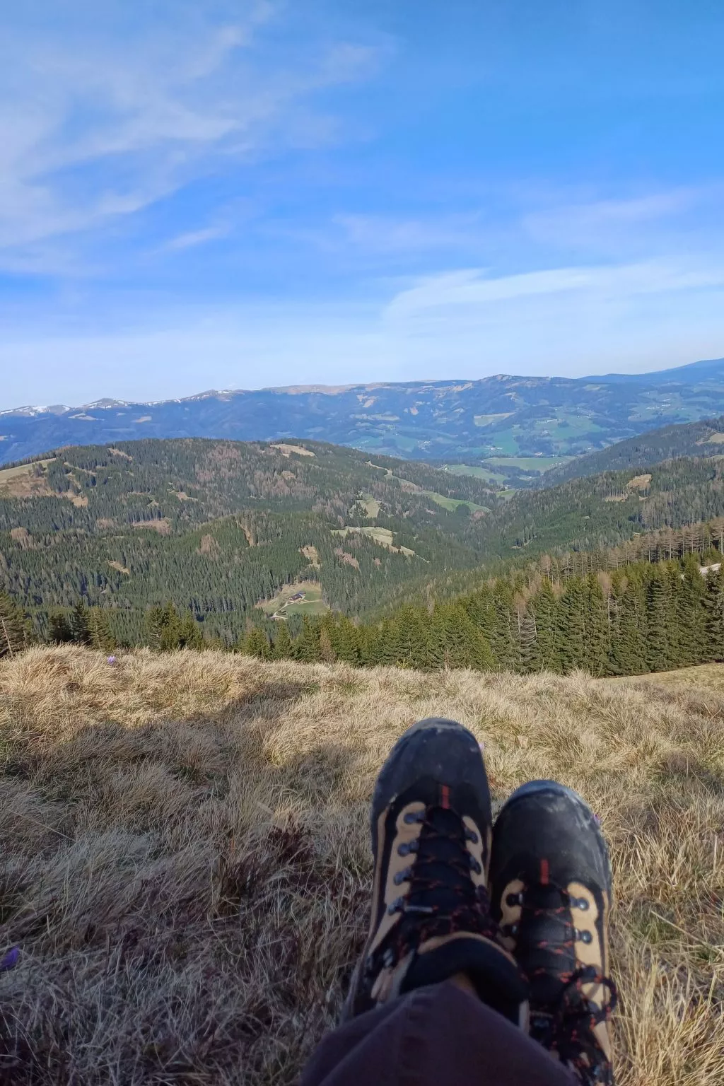 Gemütliche Almhütte direkt im Skigebiet-Binnen