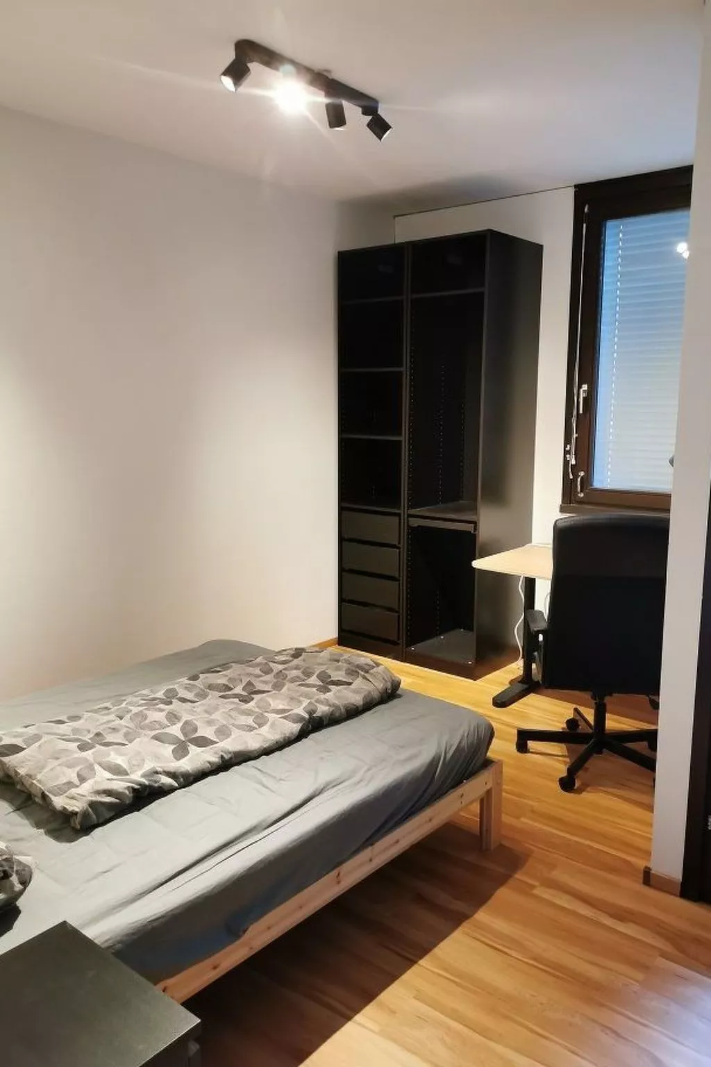 Graz Green Studio-Image-tags.info