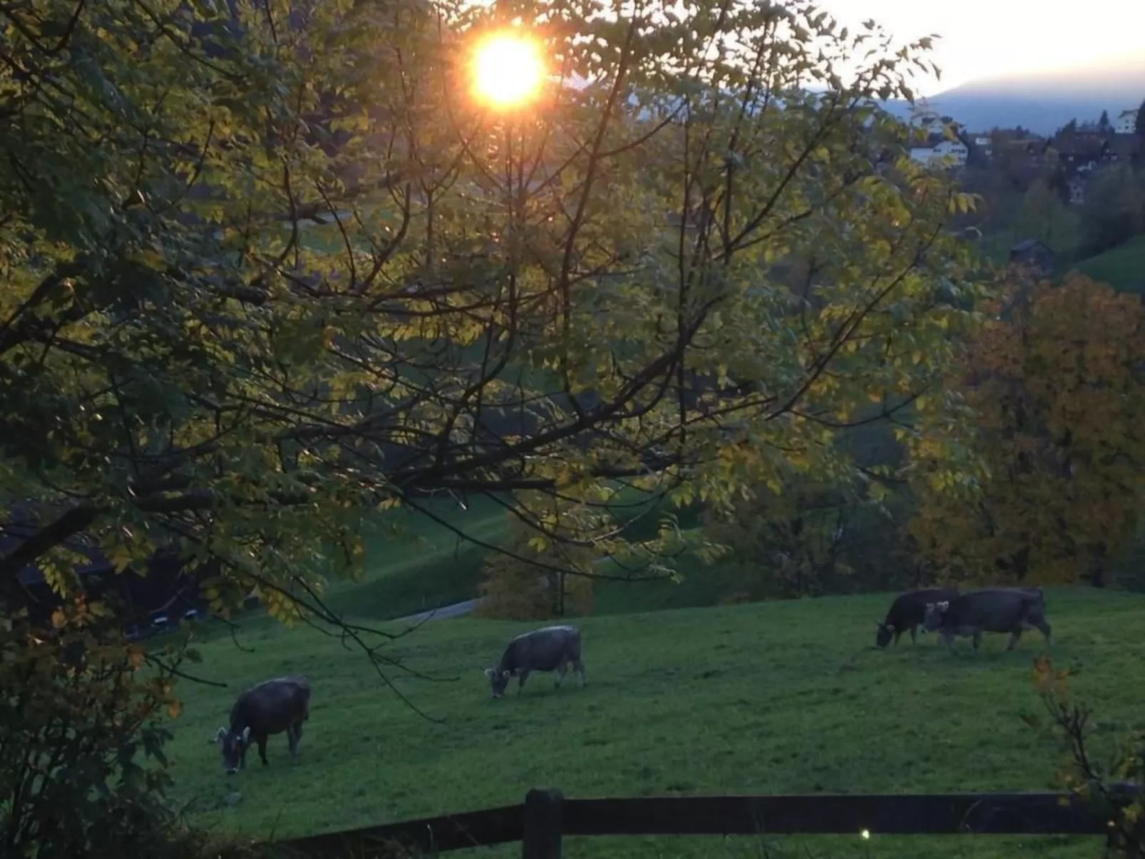 Neuer Sigerst-Buiten