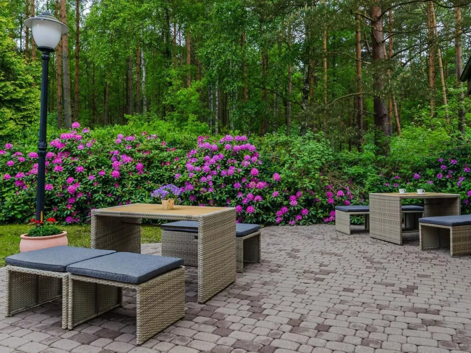 "Apartment4" mit Garten-Buiten