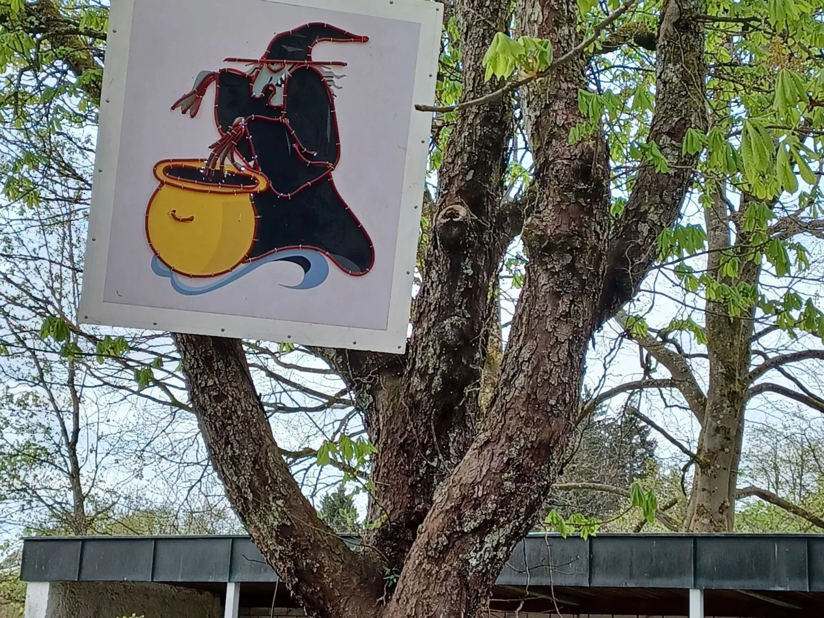 Walli OG Hahnenklee-Buiten