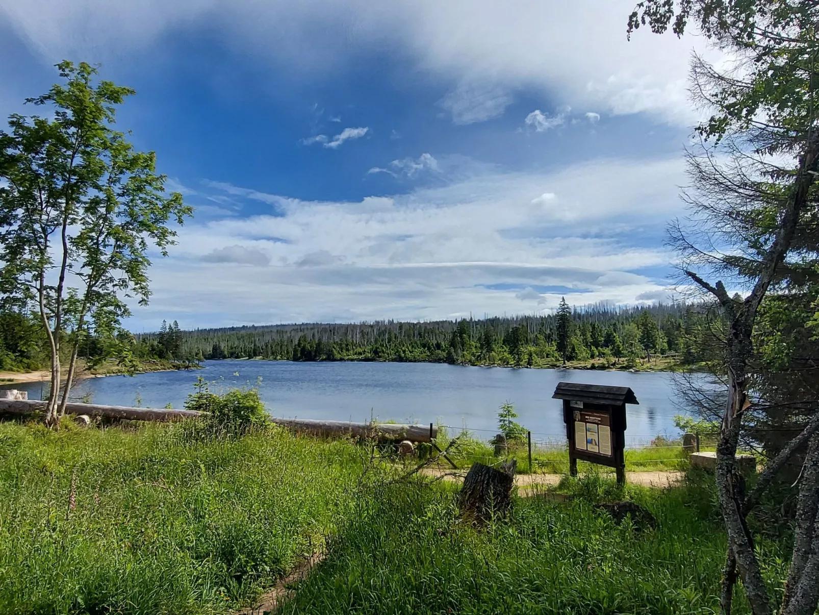 Wanderfalke II-Buiten