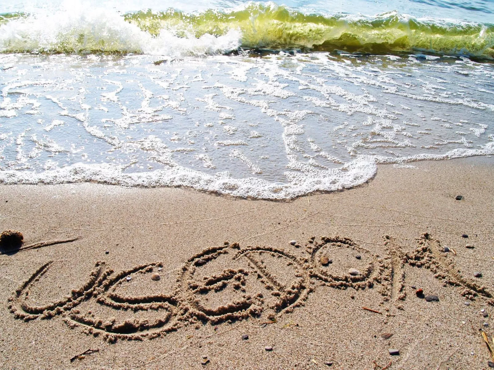 Albatros-Image-tags.info