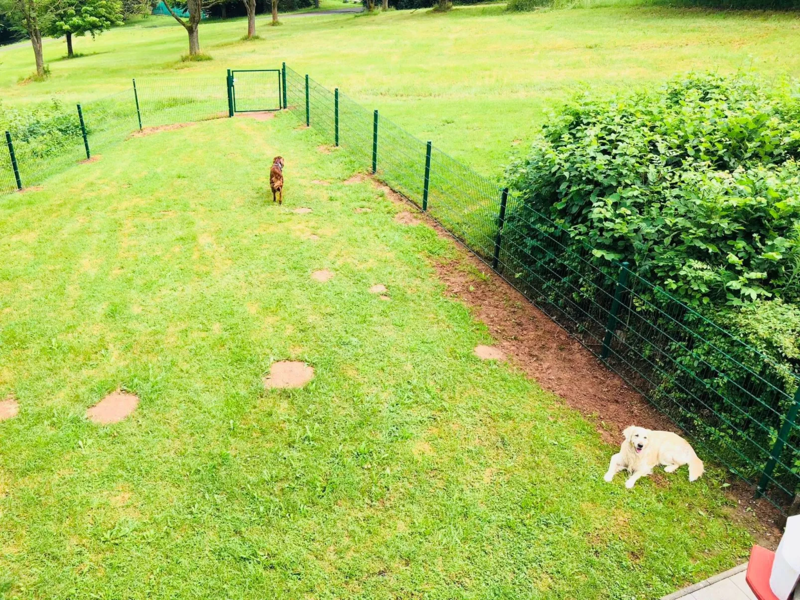 Charly in Kirchheim Seepark-Buiten