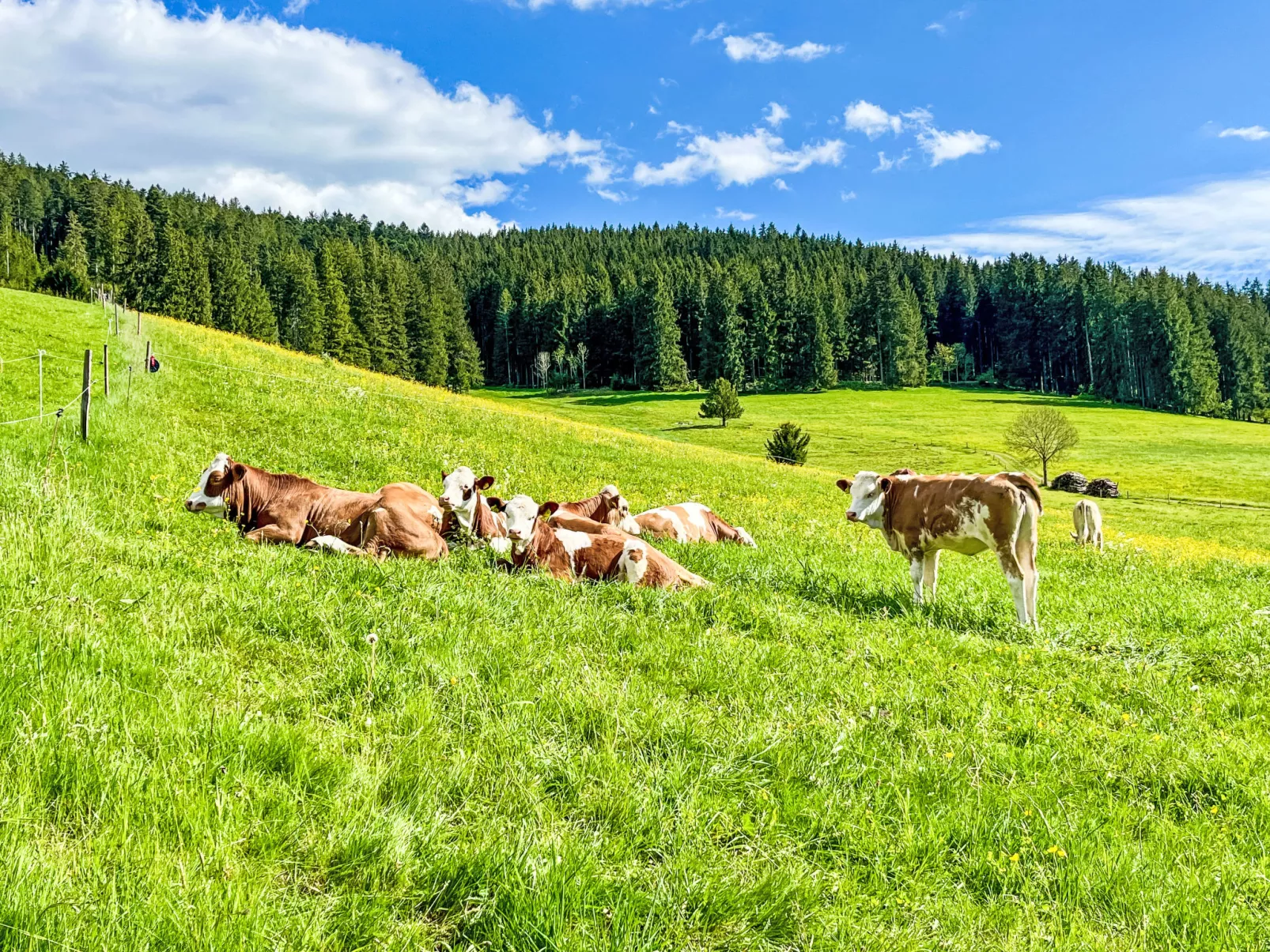 Kuschelnest Oase-Omgeving