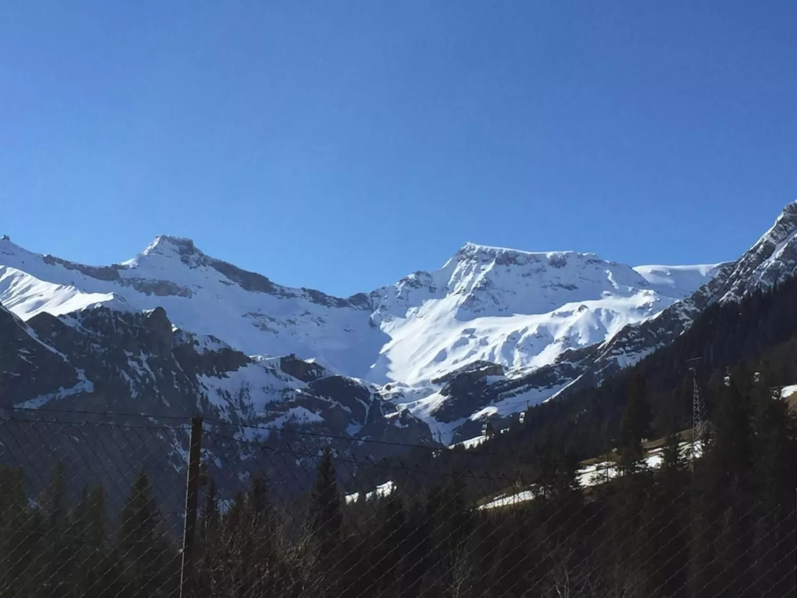 Chalet Silberdistel B11-Image-tags.info