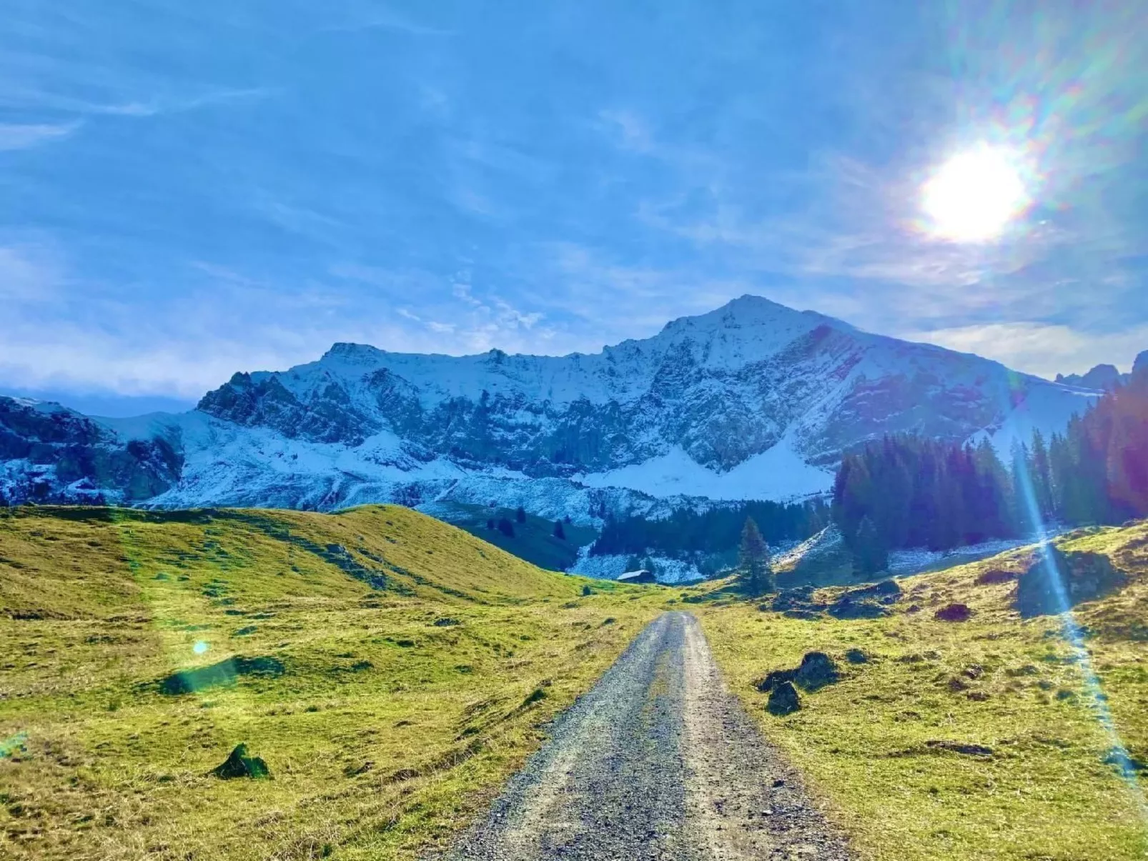 Chalet Bärgblüemli-Binnen
