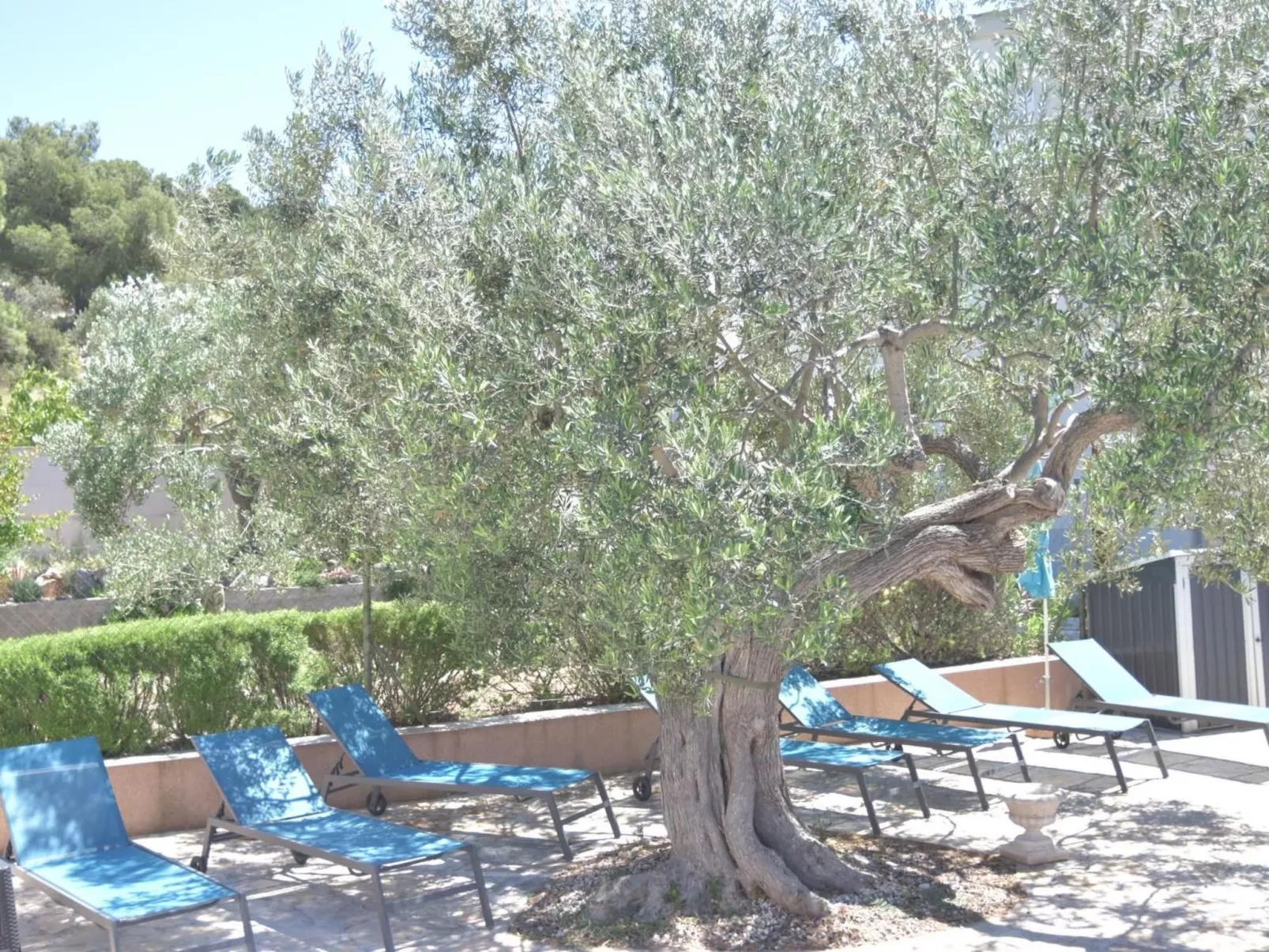 Garten Bungalow-Image-tags.info