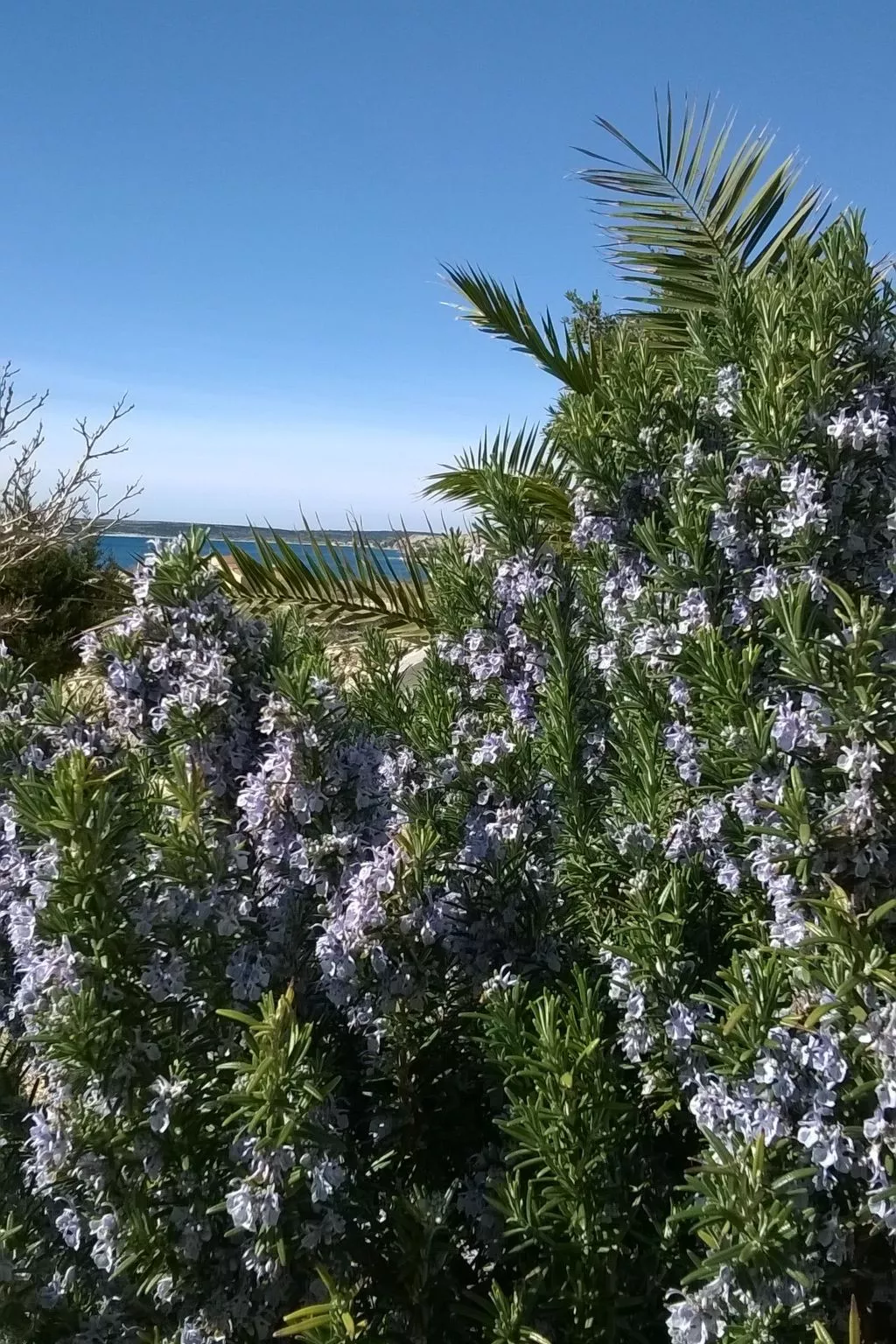 Apartment mit Meerblick-Buiten