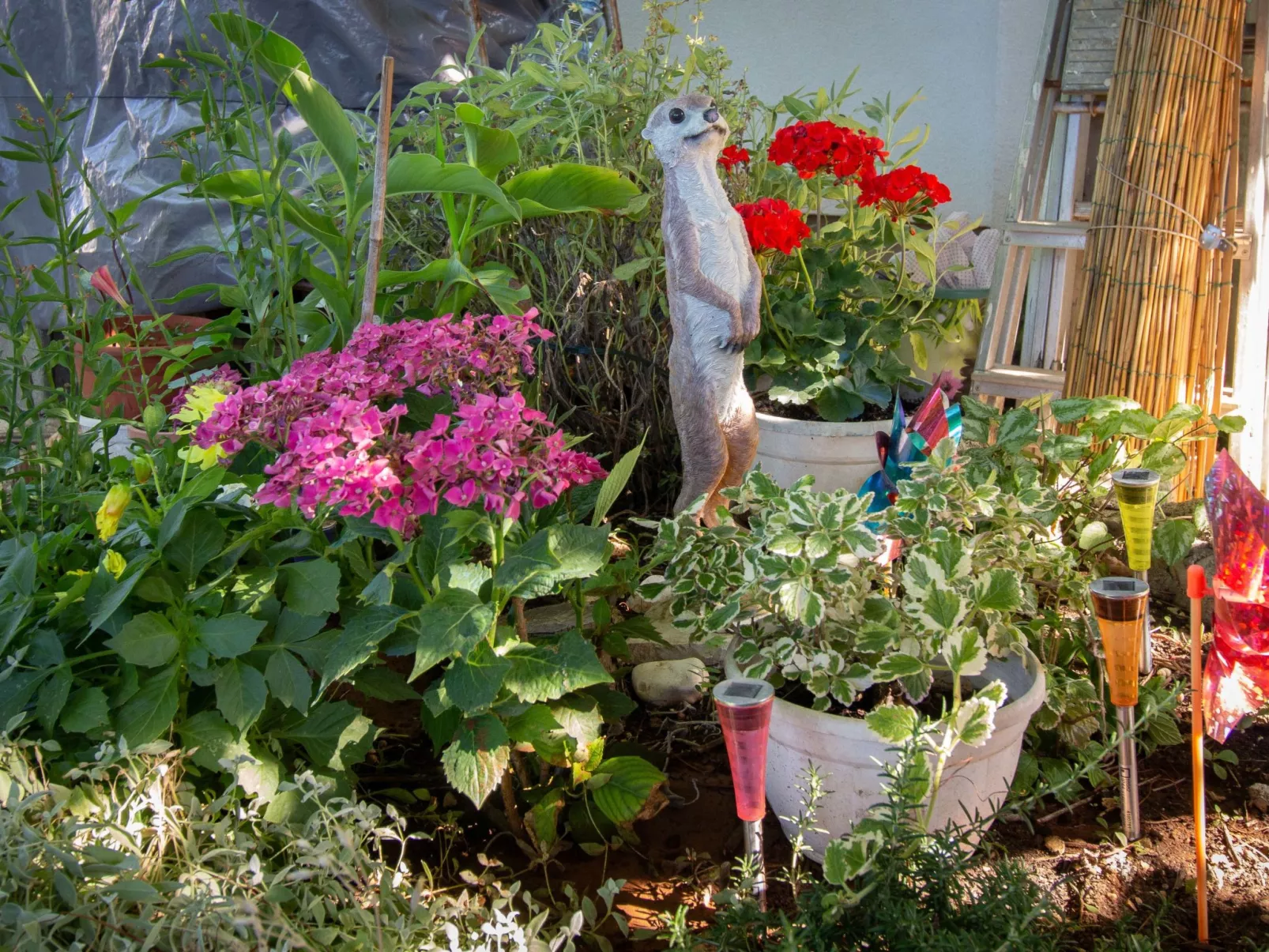 Appartement Mara in Strandnähe - von TA Leut Agency-Buiten