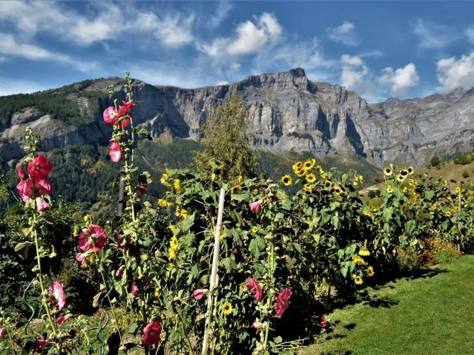 Chalet Abendstern-Binnen