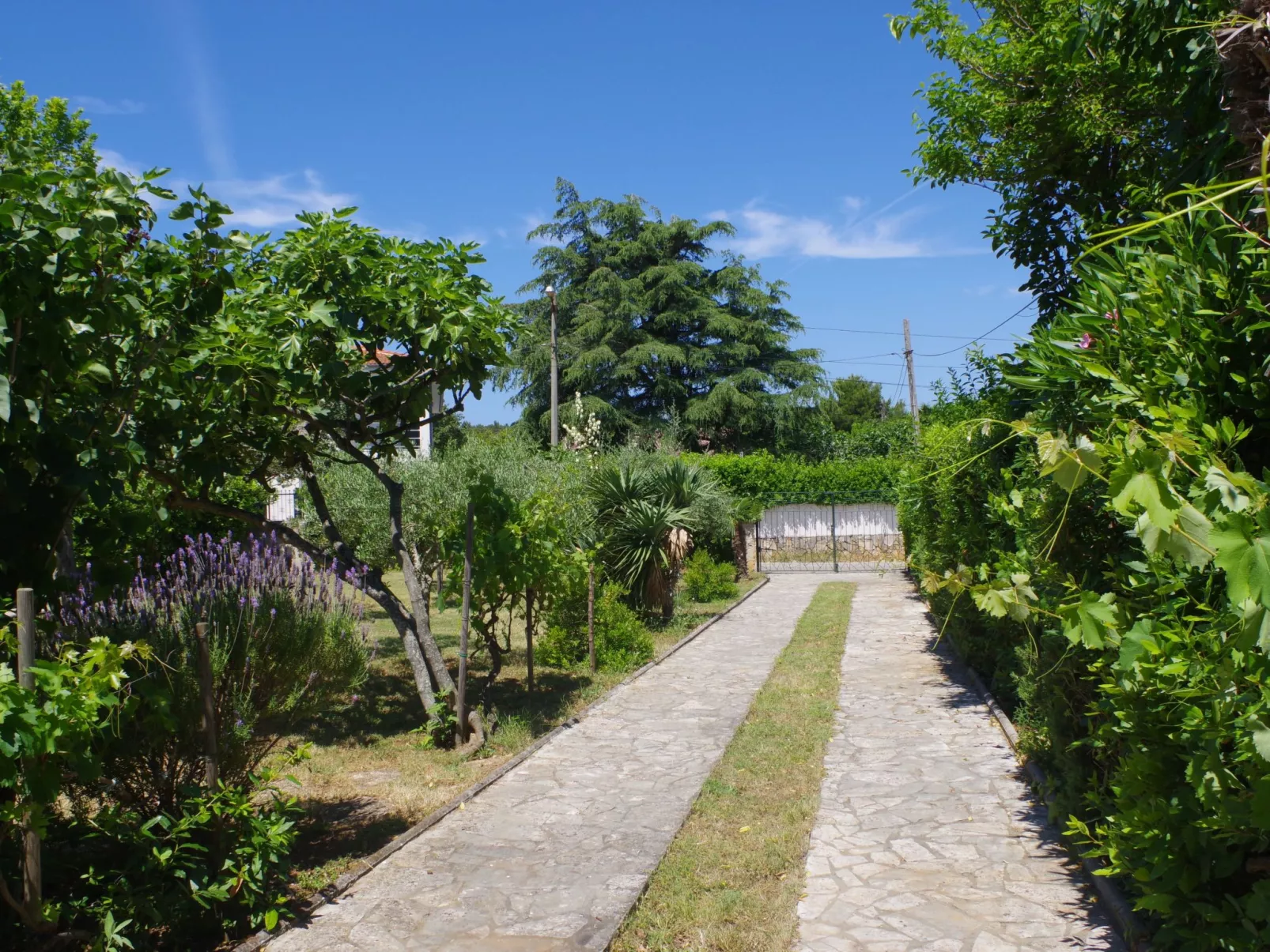 Wohnung in Premantura mit privatem Parkplatz-Buiten