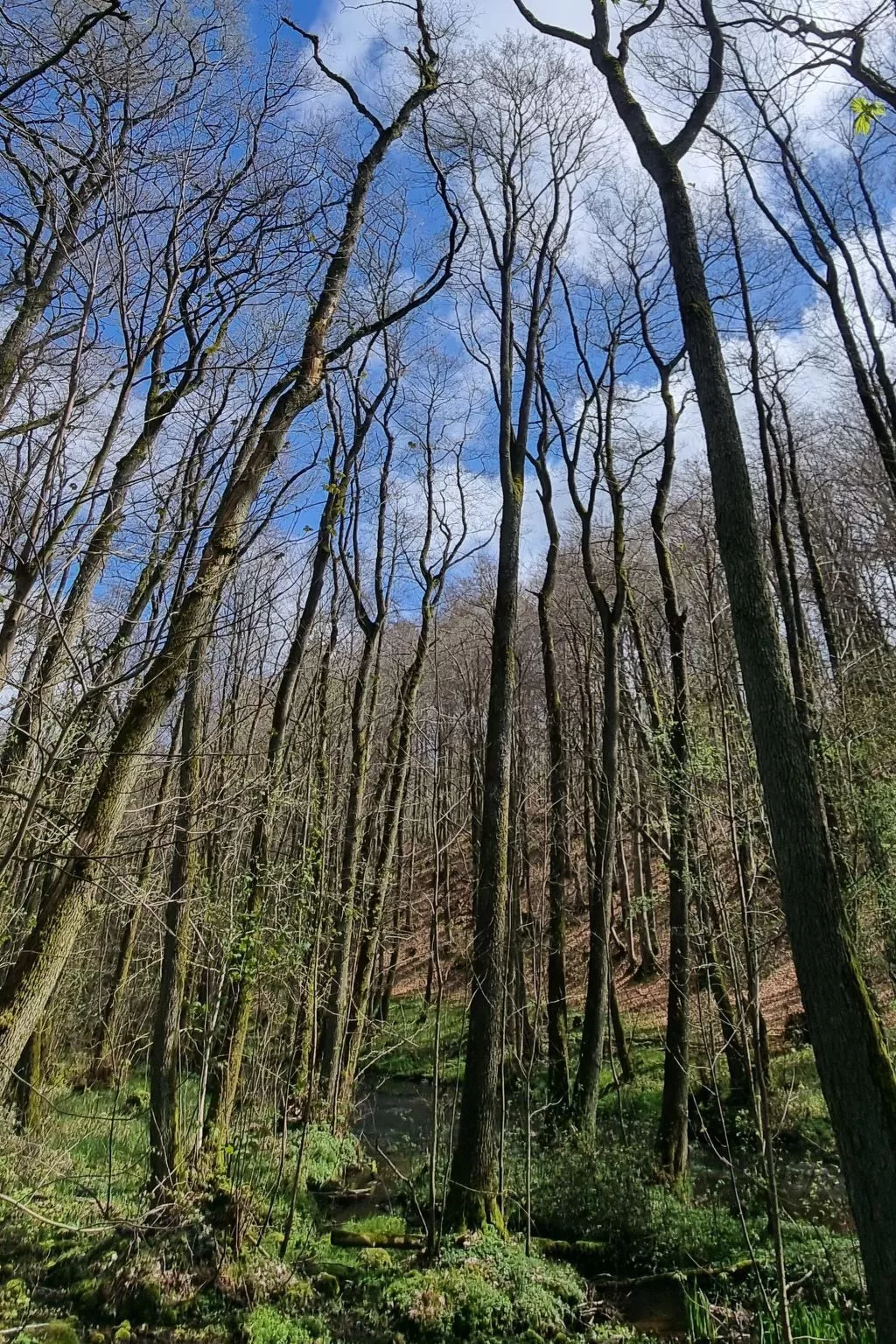 Lublewo21 Ferienhäuser - Buiten