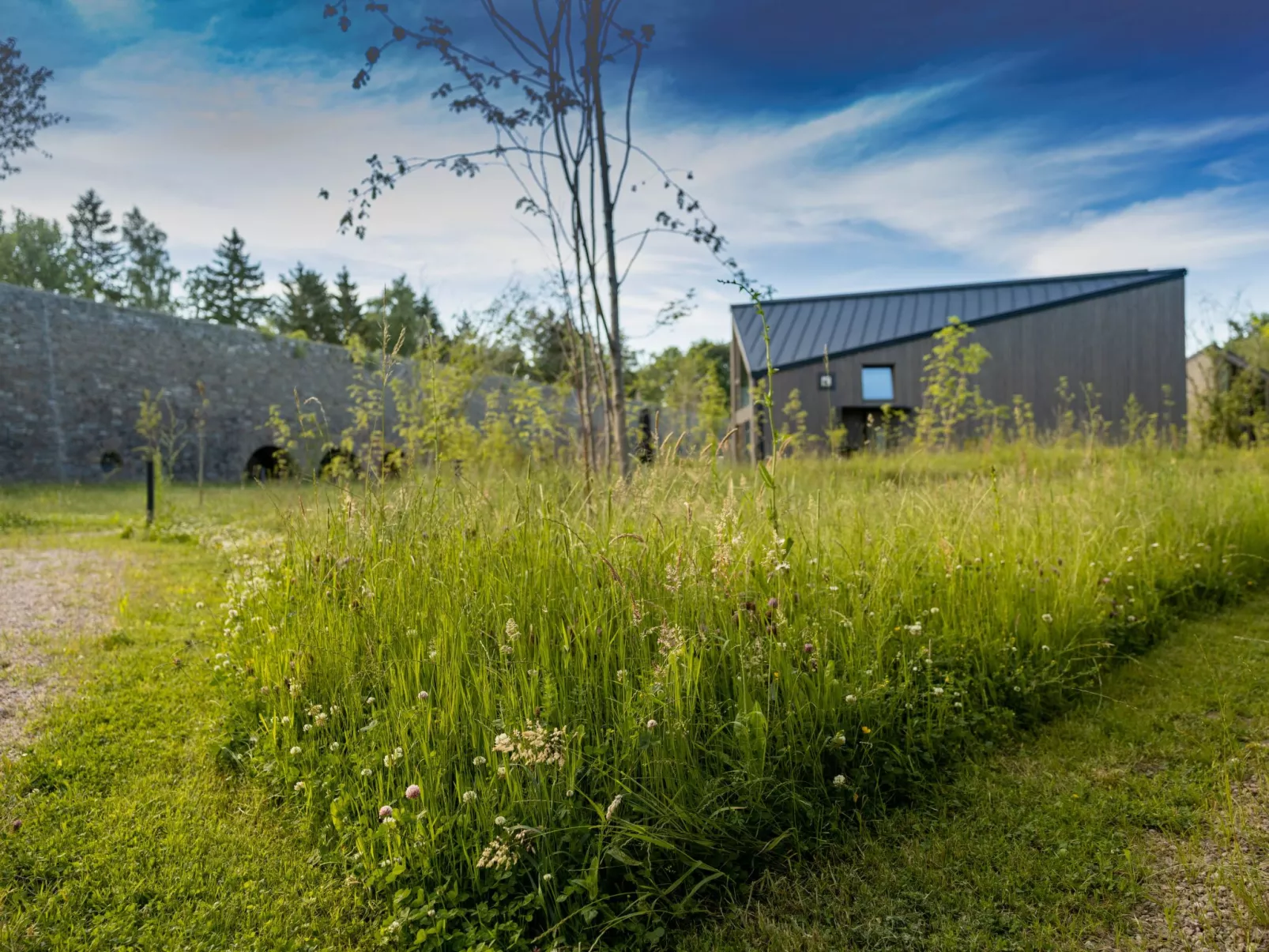 (X) Cabin Cozy-Buiten