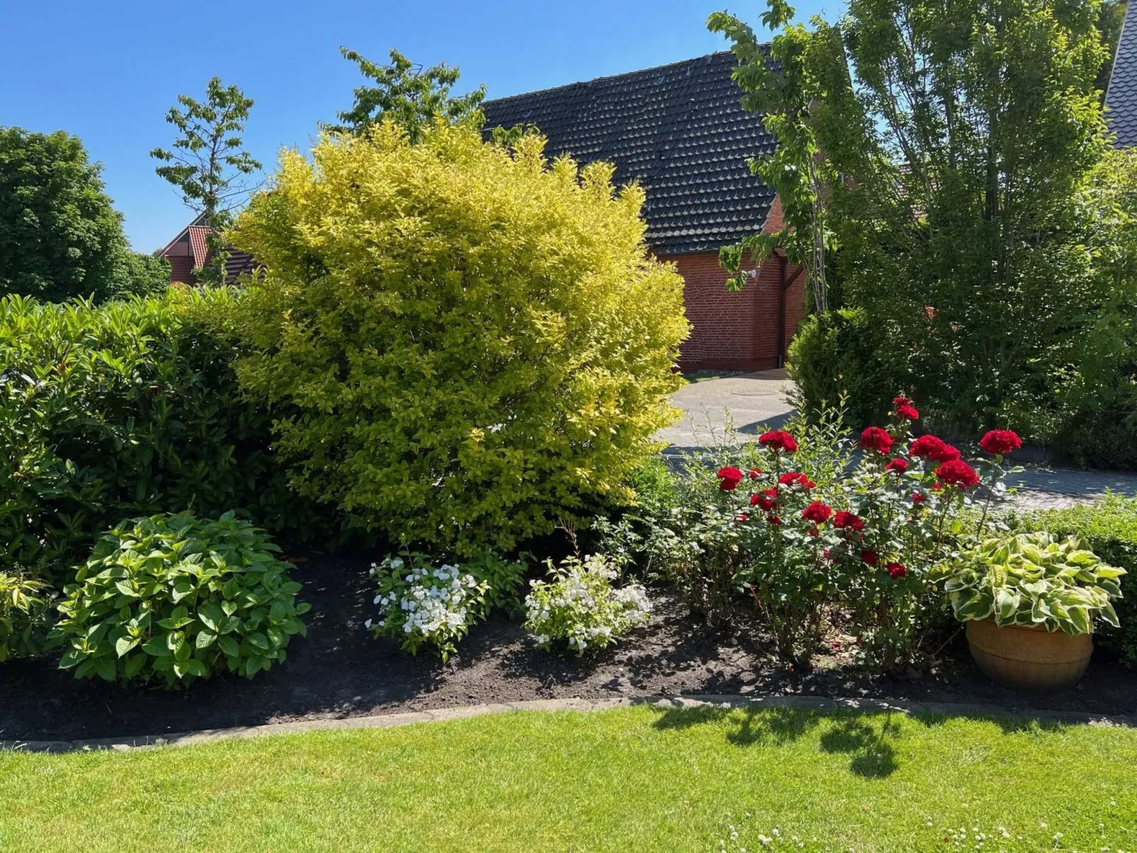 Strandnah Ilse Hans-Image-tags.info