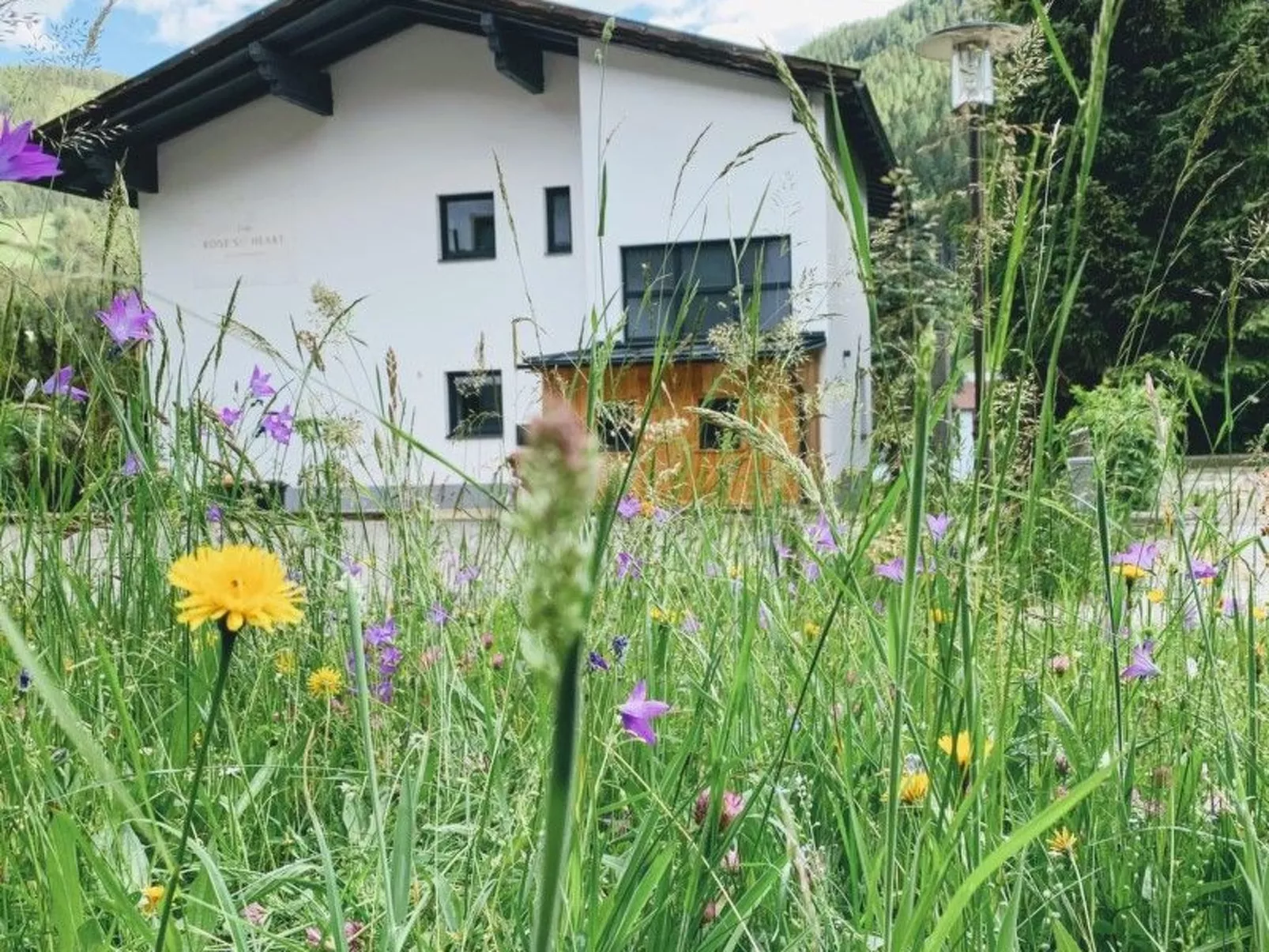 Heidetraum-Image-tags.info