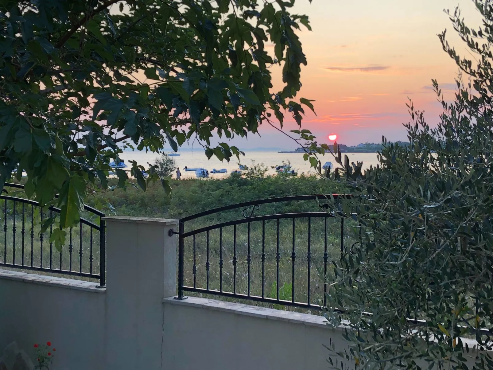 Villa Olive Grove-Image-tags.info