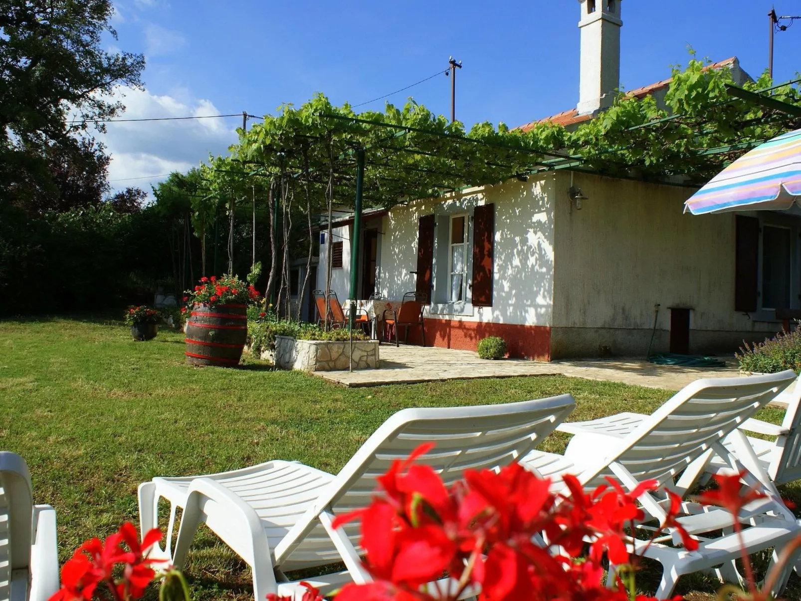 Freistehendes Haus Violeta mit weitläufigen Garten-Buiten