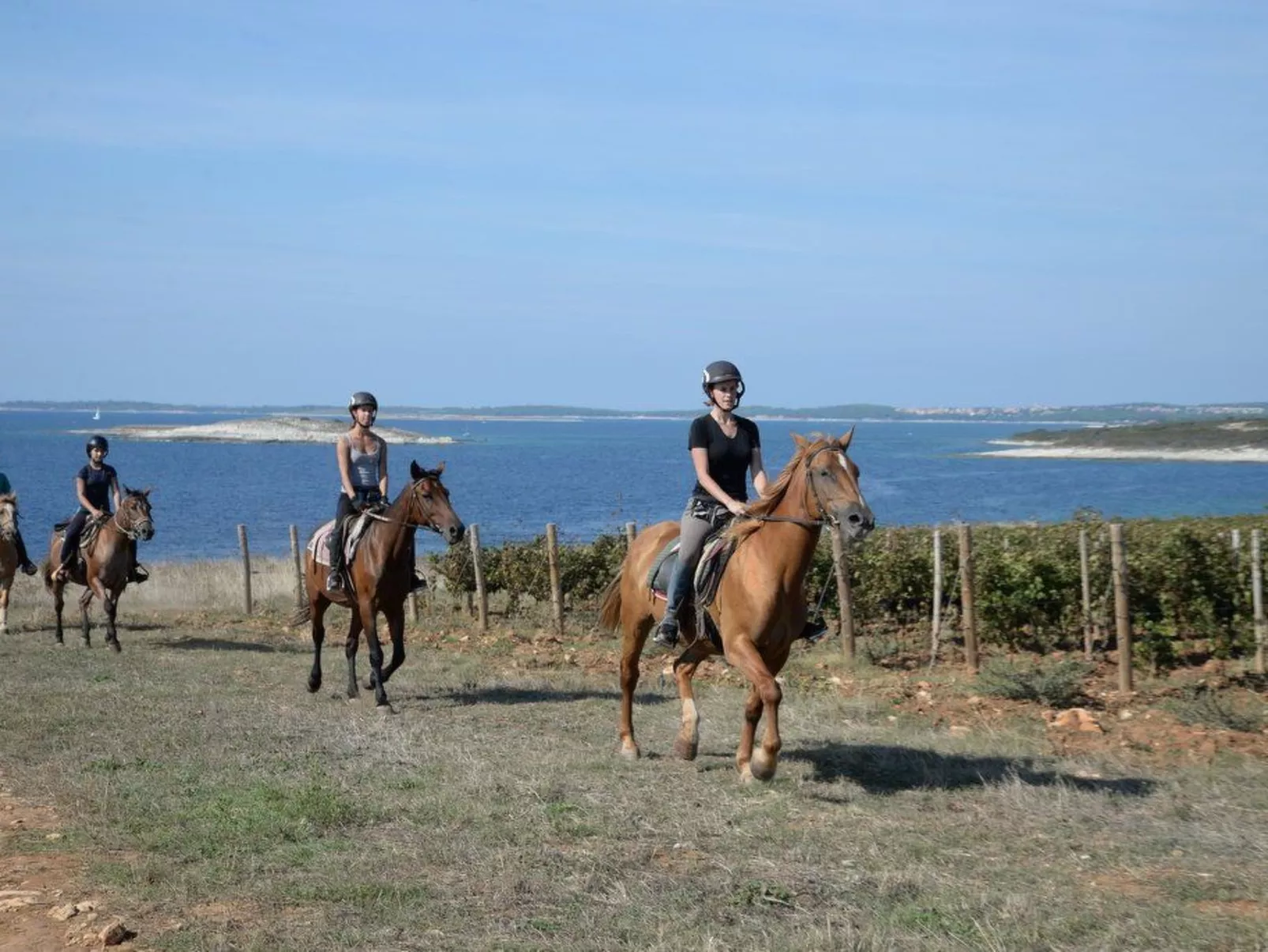 Villa Grofica, beheizter Pool, Taverne, Strandnähe-Image-tags.info