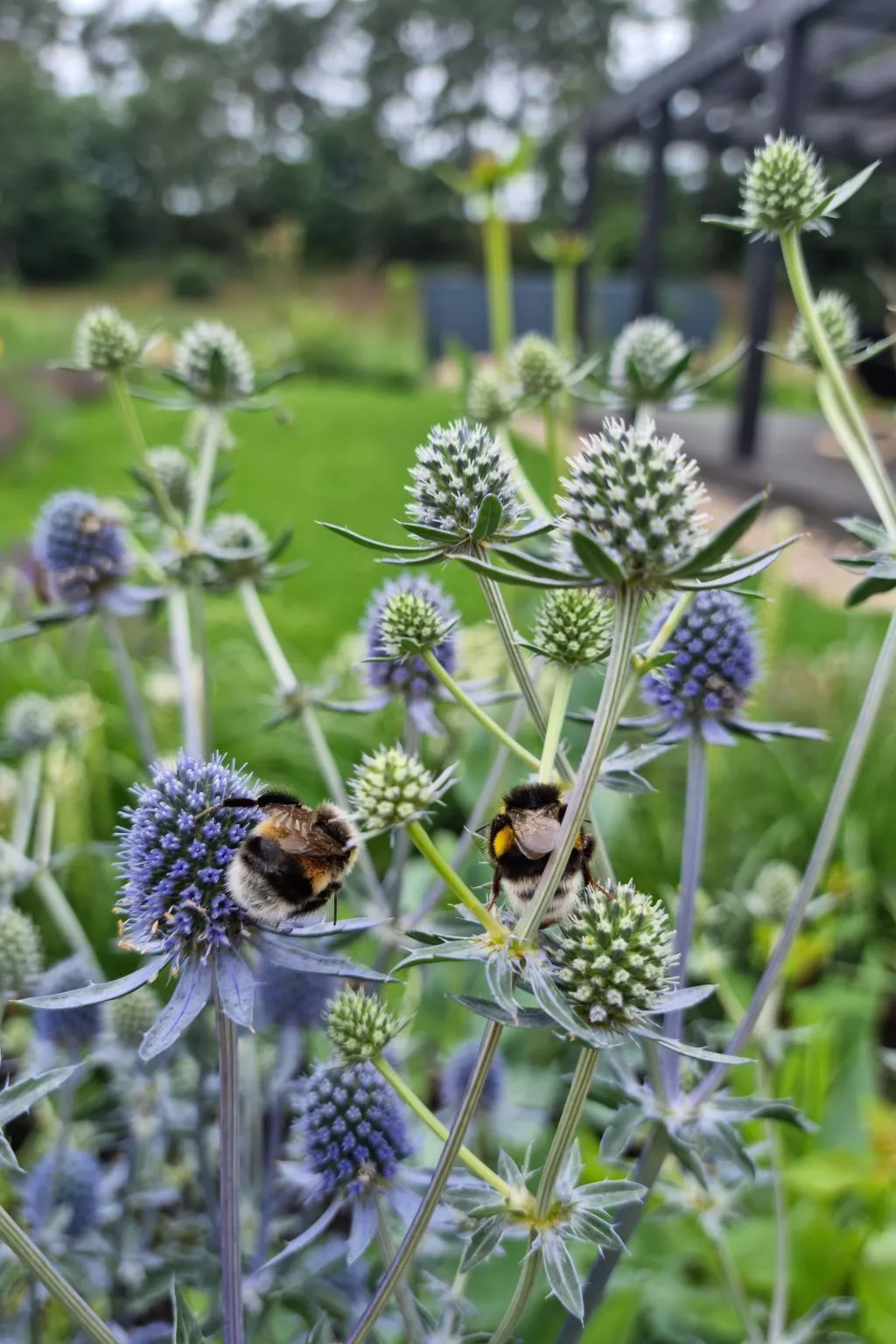 Lublewo21 Ferienhäuser - Buiten