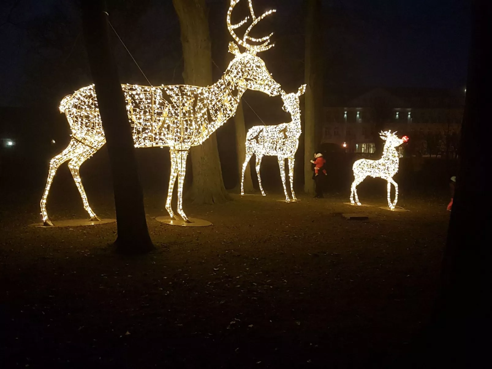 Bungalow "Lieschen"-Binnen