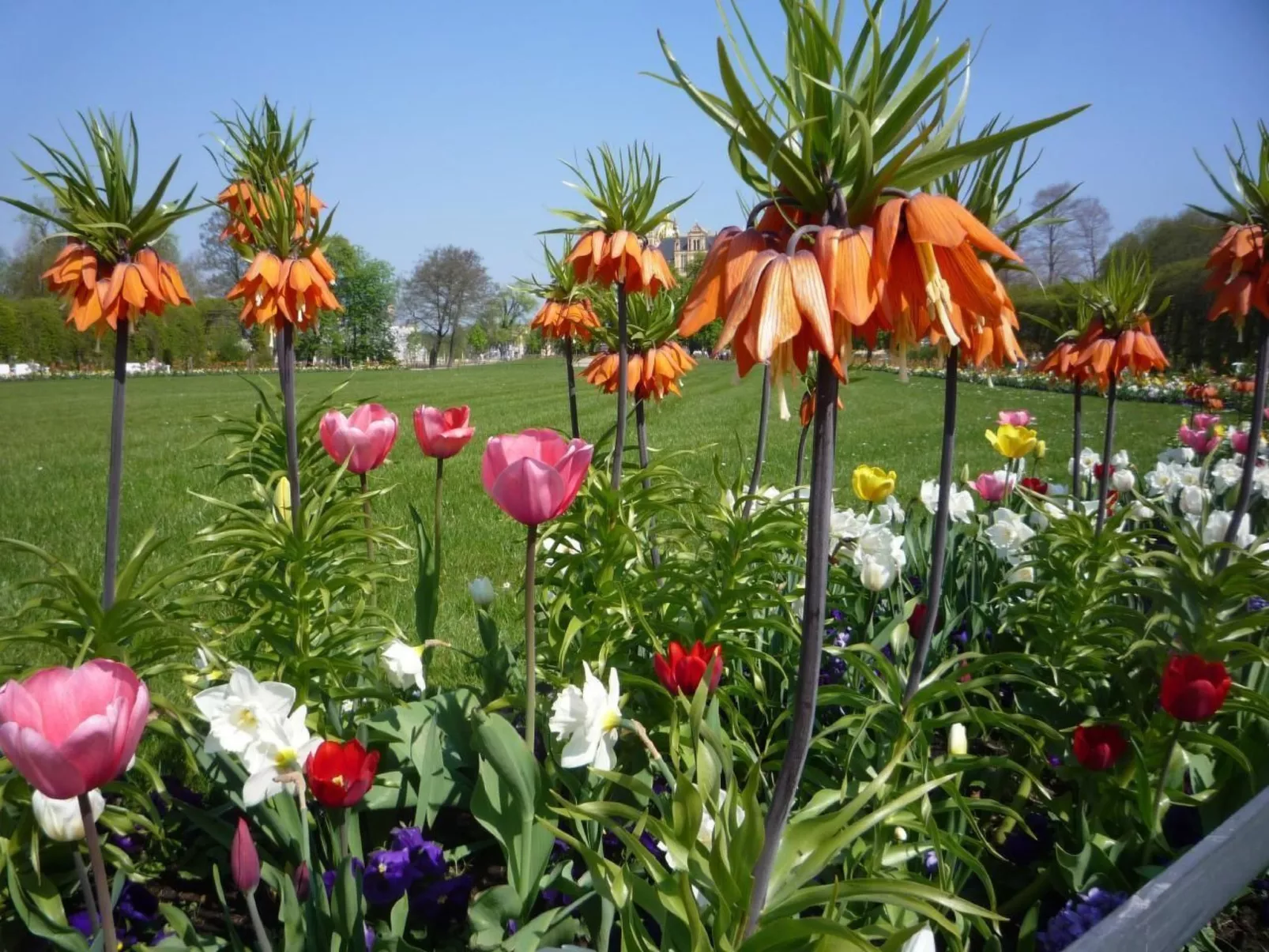 Schwedenhaus Zierow mit Terrasse und Grill-Image-tags.info