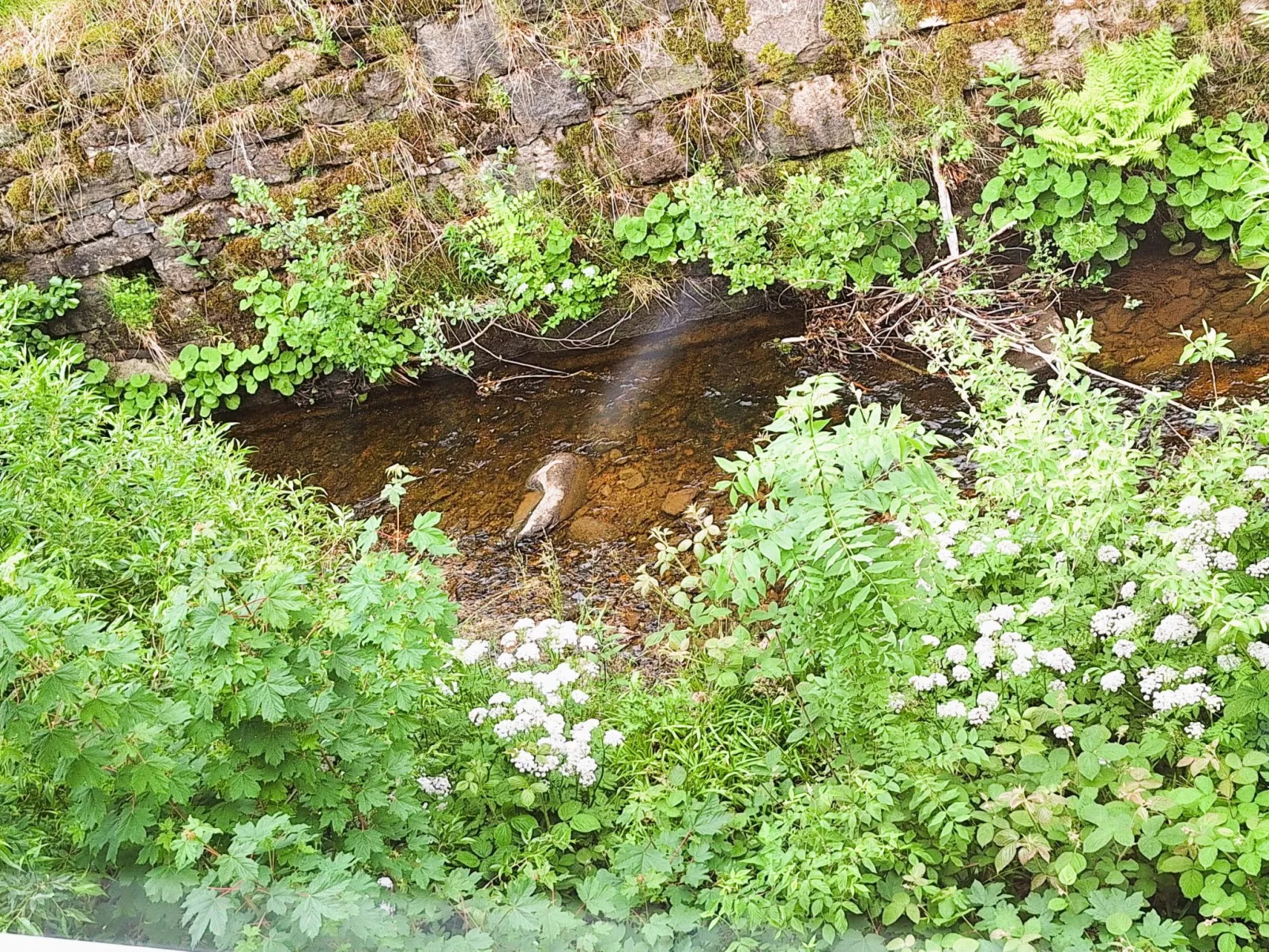 Kleine Auszeit-Buiten