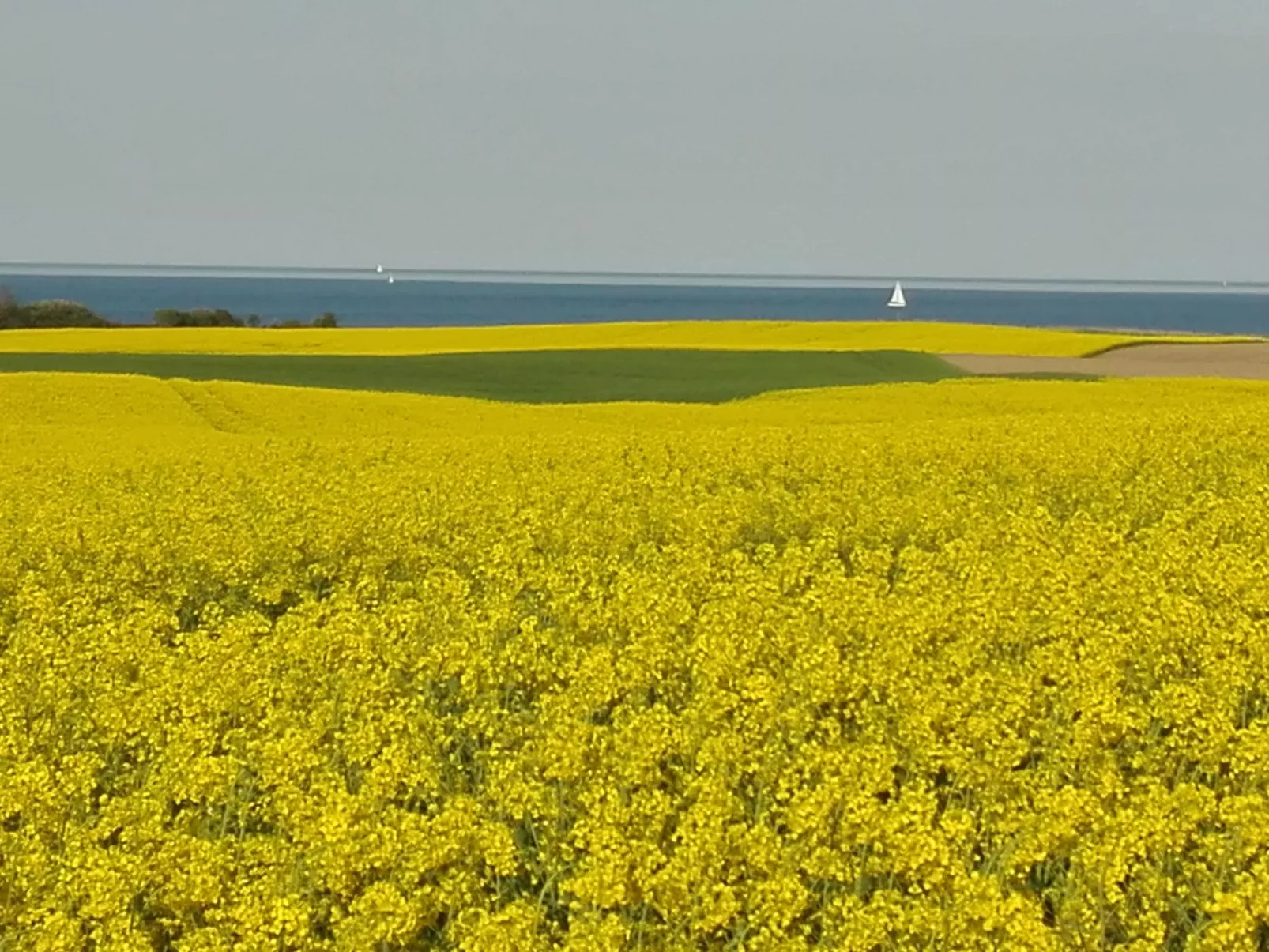 'Heile Welt' bei Maasholm - Buiten