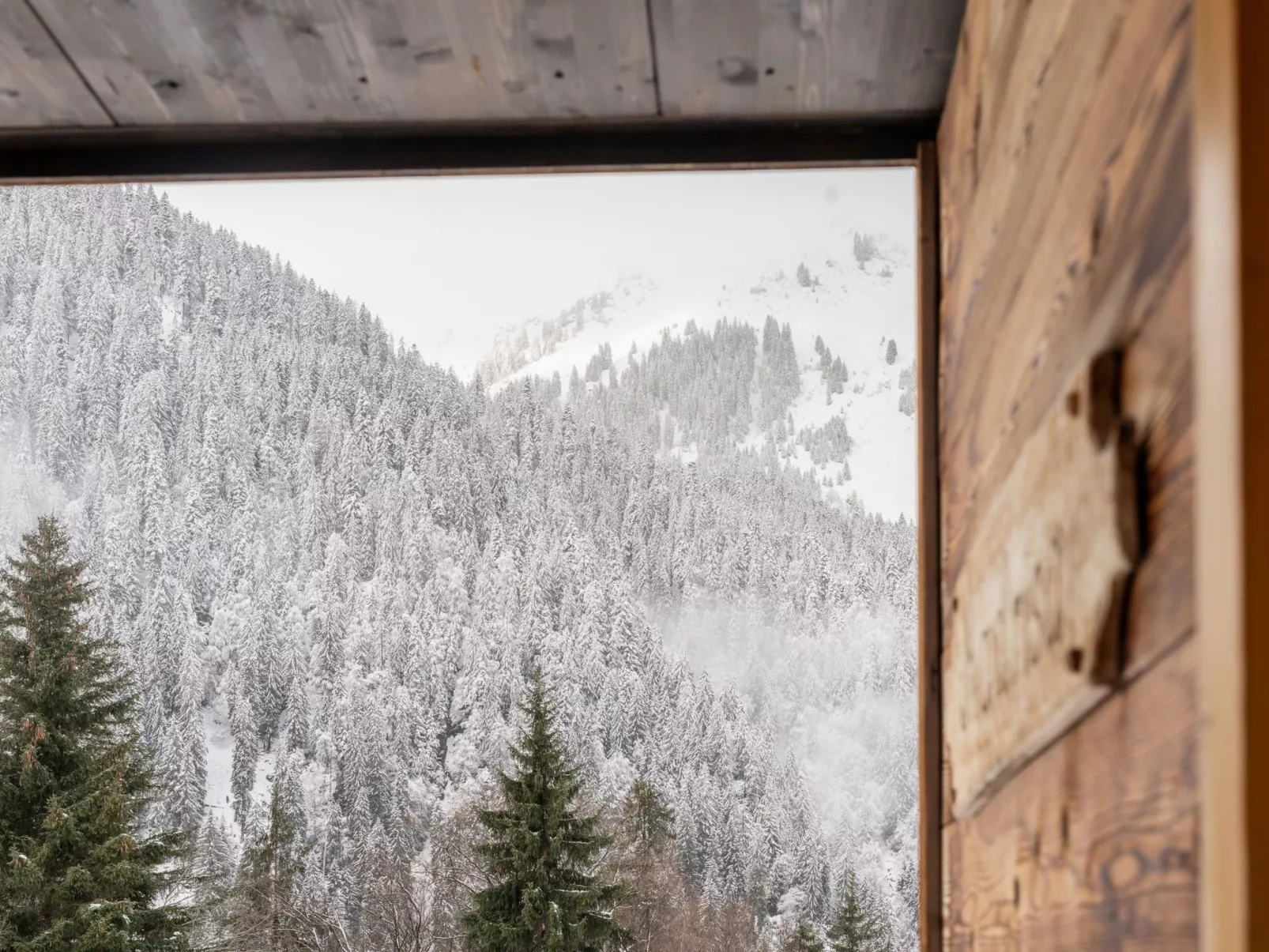 Wohnung in Sankt Gallenkirch mit Terrasse, Grill-Image-tags.info