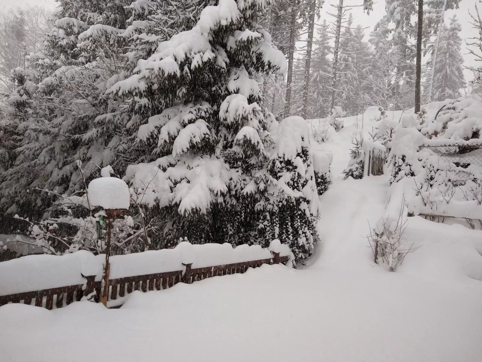 Haus Bernkogelblick in Goldegg-Image-tags.info