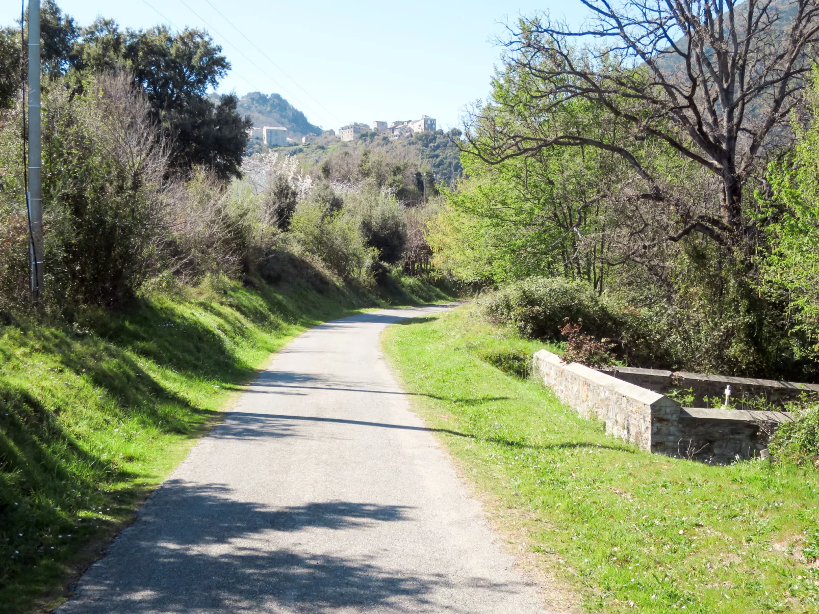 Villa Angelini-Omgeving