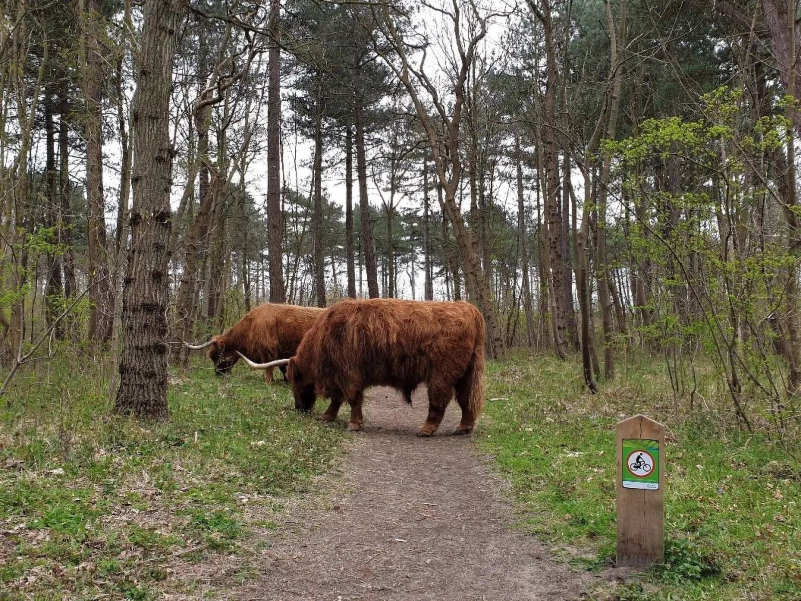 "Windhoos" mit privatem Garten und Terrasse-Buiten