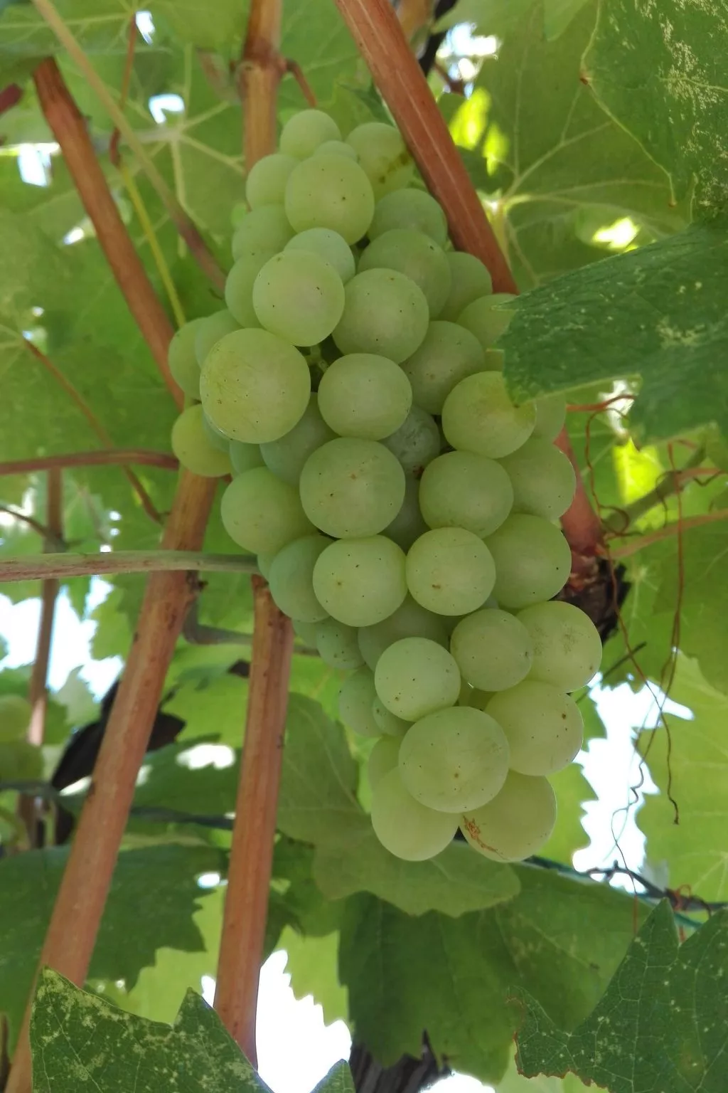 Wohnung mit Balkon und Meerblick-Image-tags.info