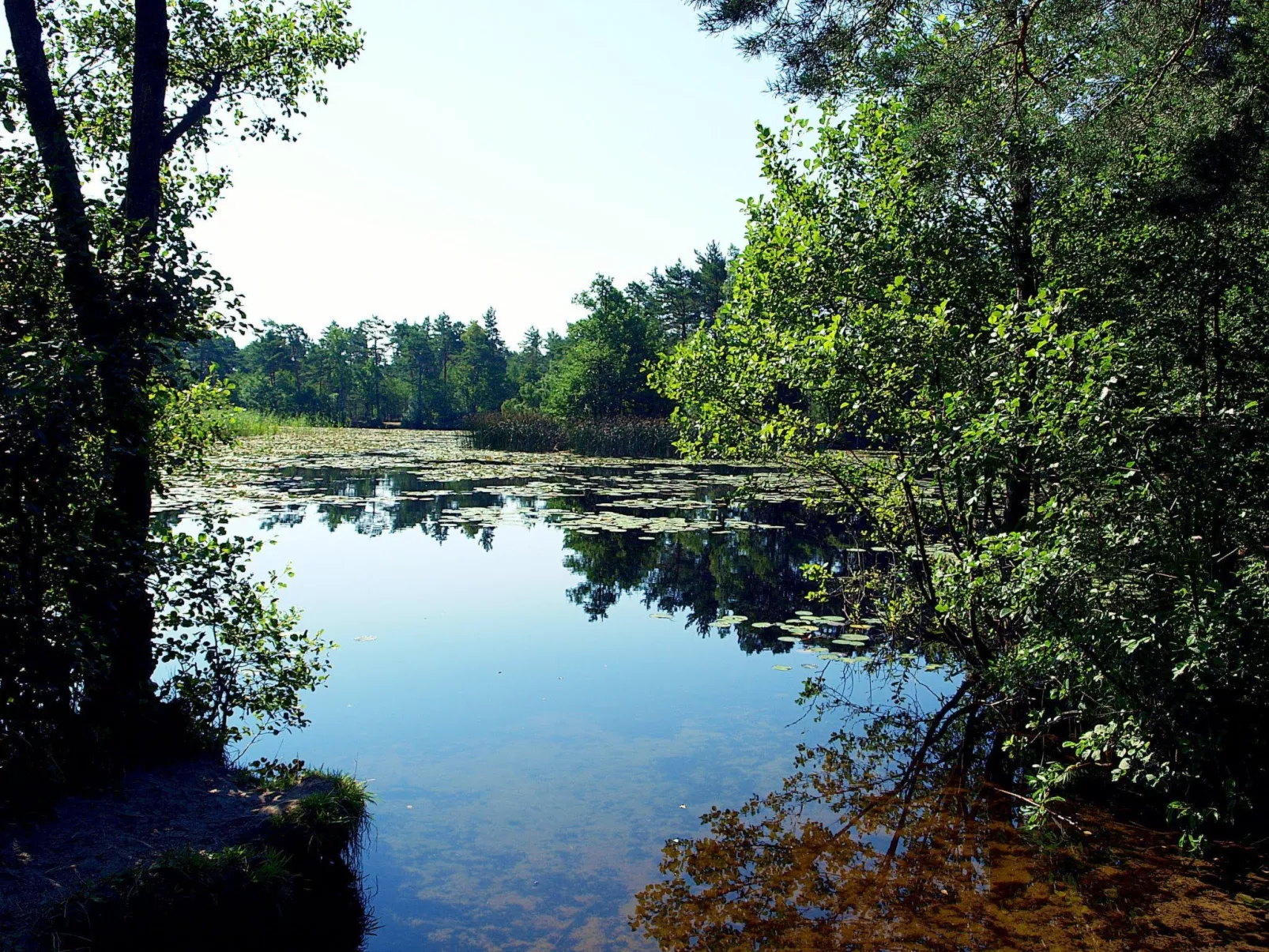 Holzhaus Juhas-Binnen