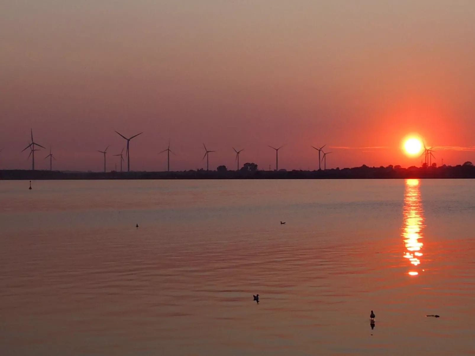 Moderne Ferienwohnung mit Balkon, nur 500 Meter von Meer und Strand entfernt-Buiten